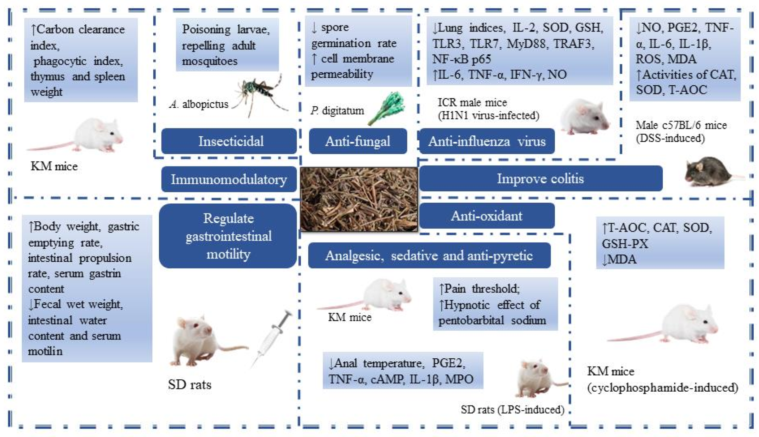 Molecules 29 01716 g007