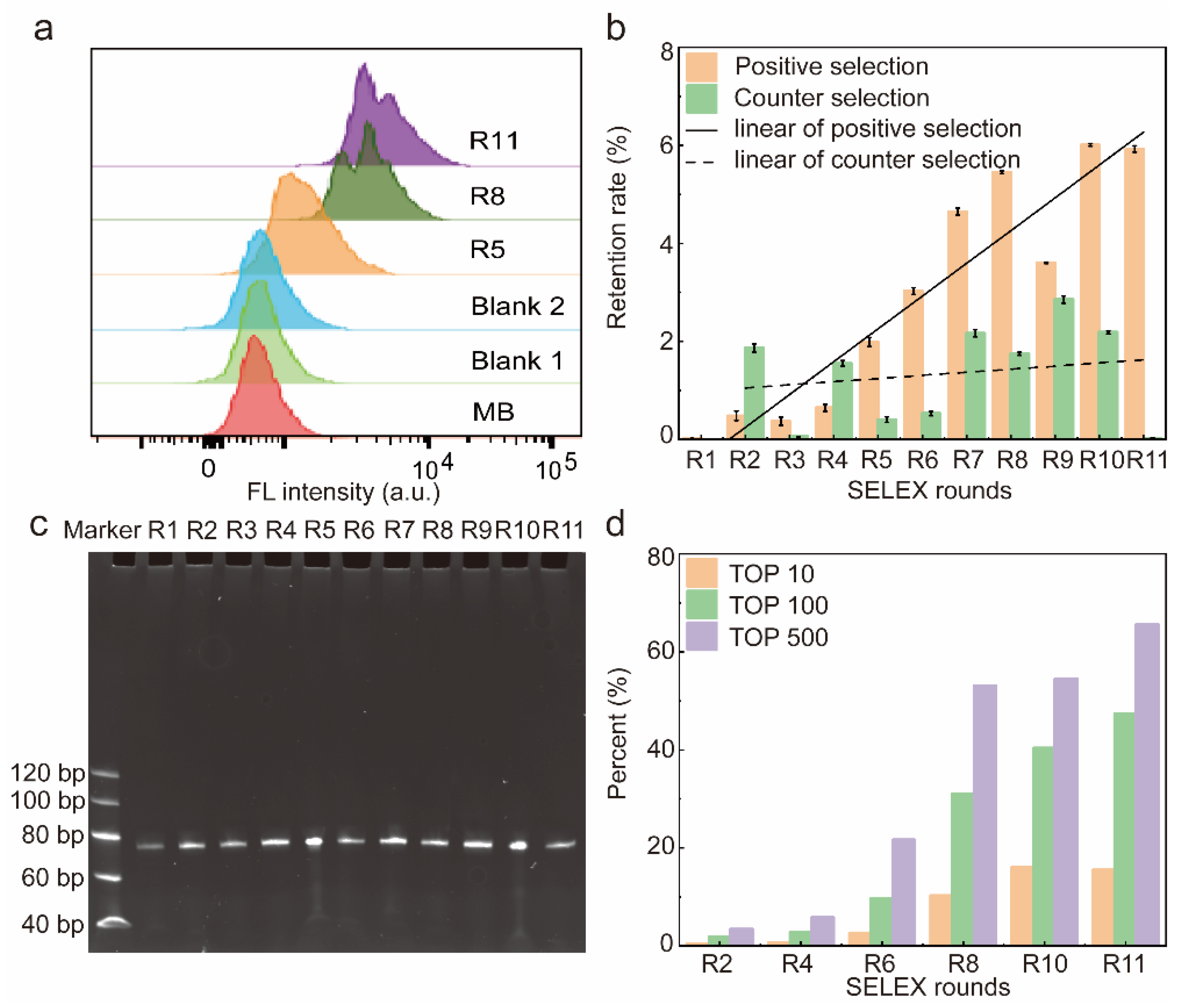 Molecules 29 01717 g002