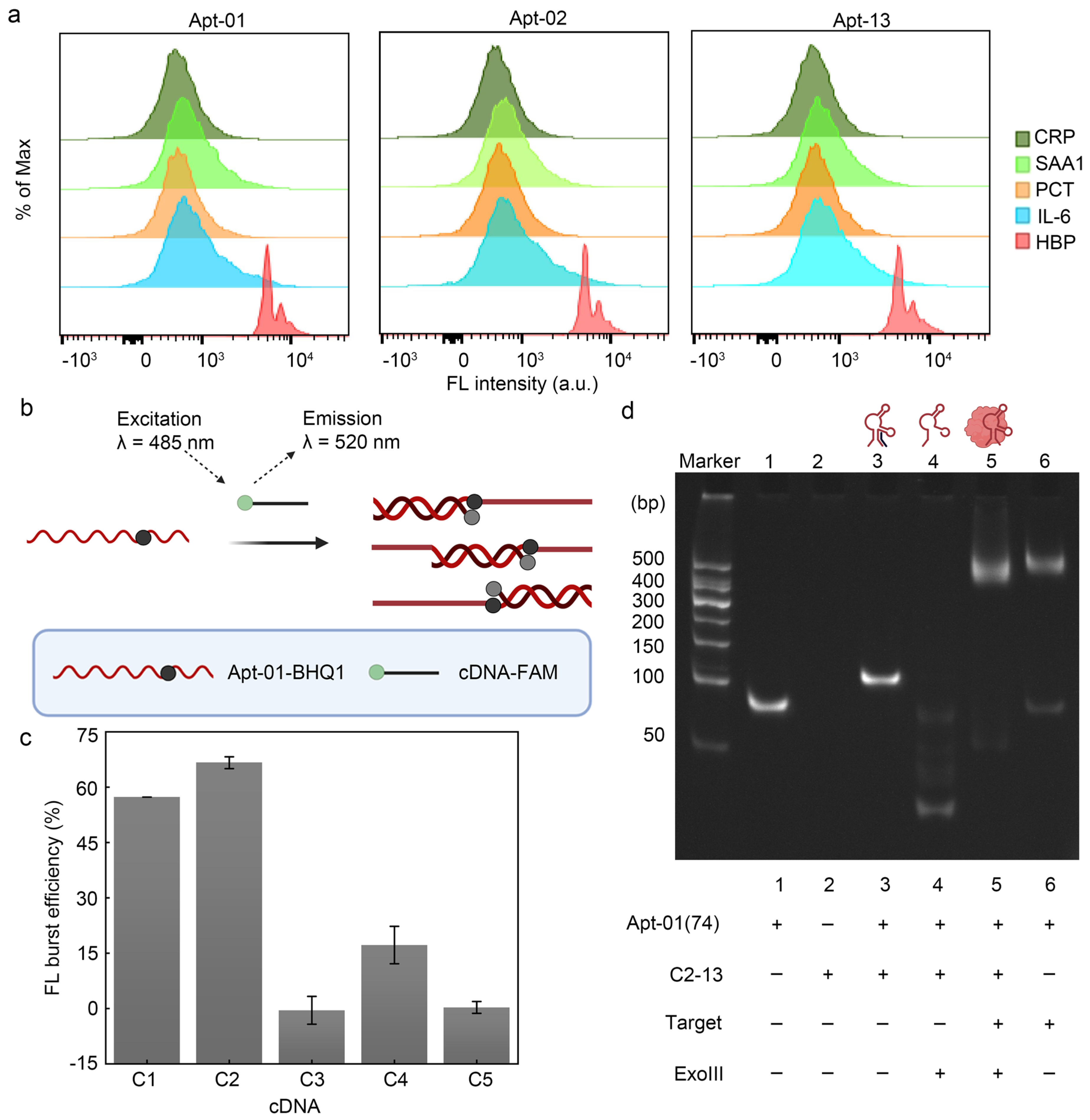 Molecules 29 01717 g004