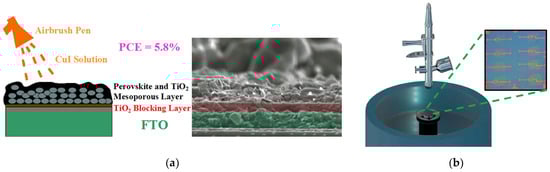 Molecules 29 01723 g005