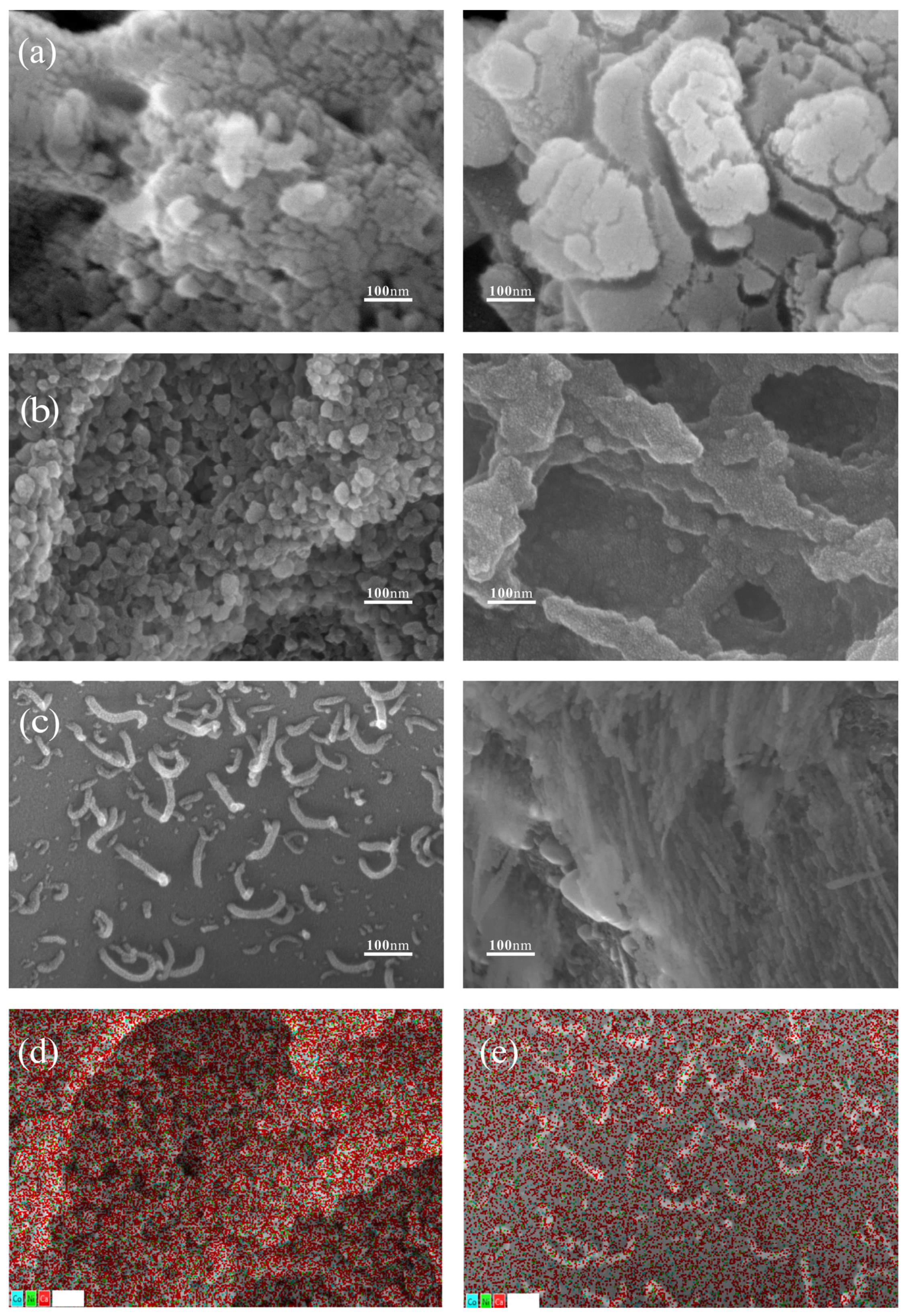 Molecules 29 01730 g003