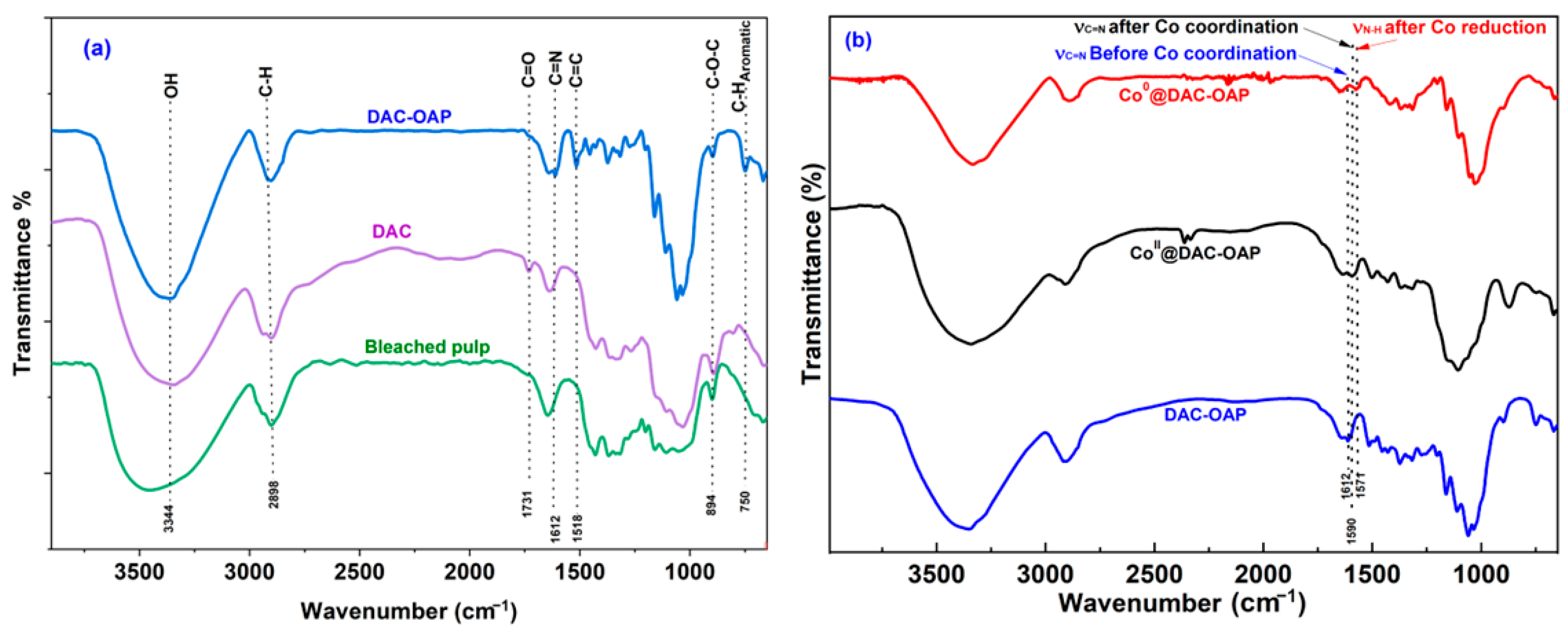 Molecules 29 01734 g003