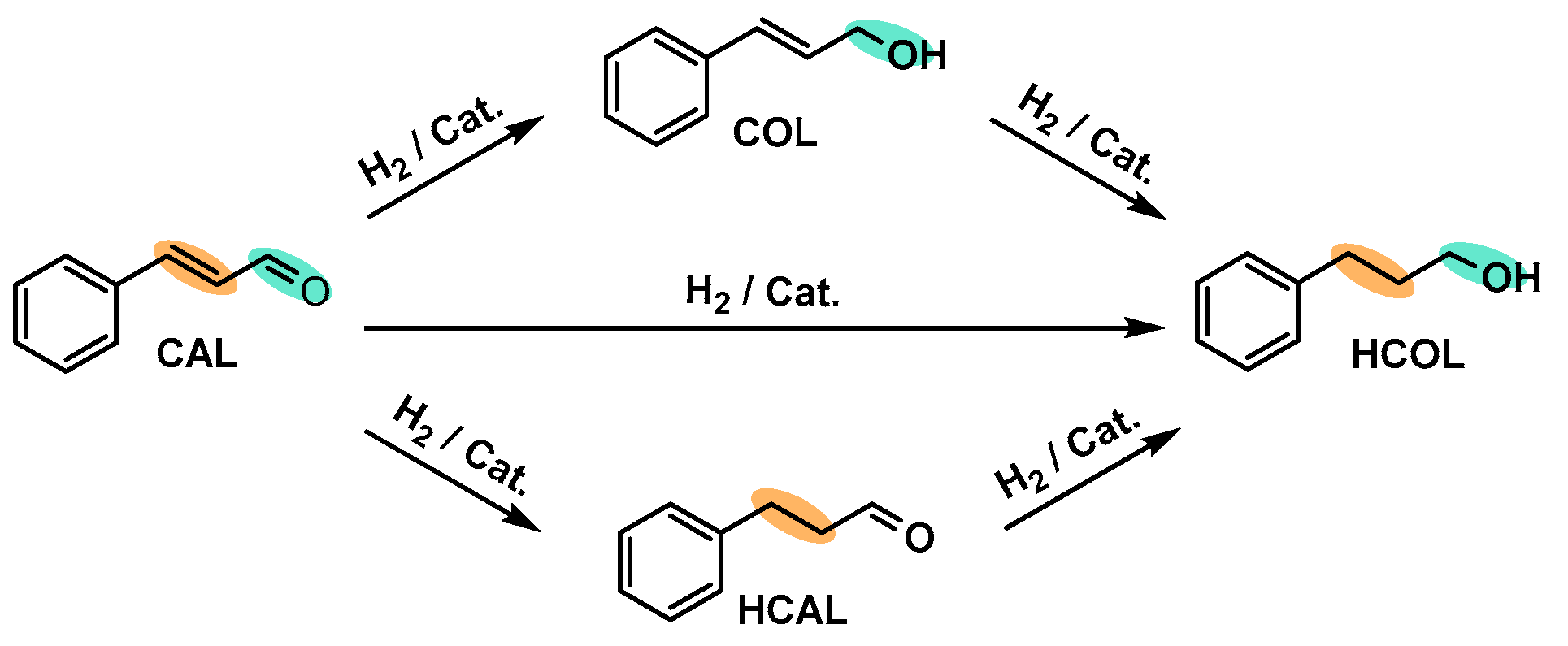 Molecules 29 01734 g011