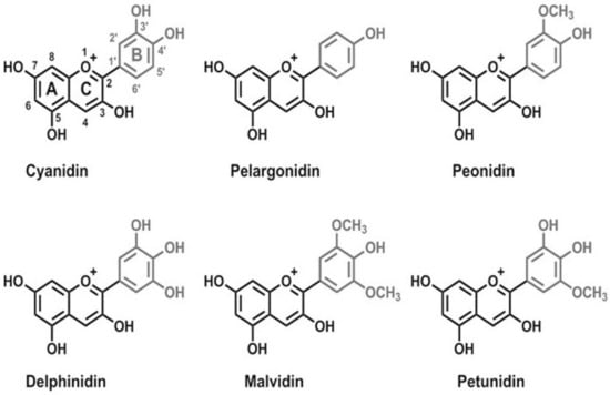 Molecules 29 01735 g001