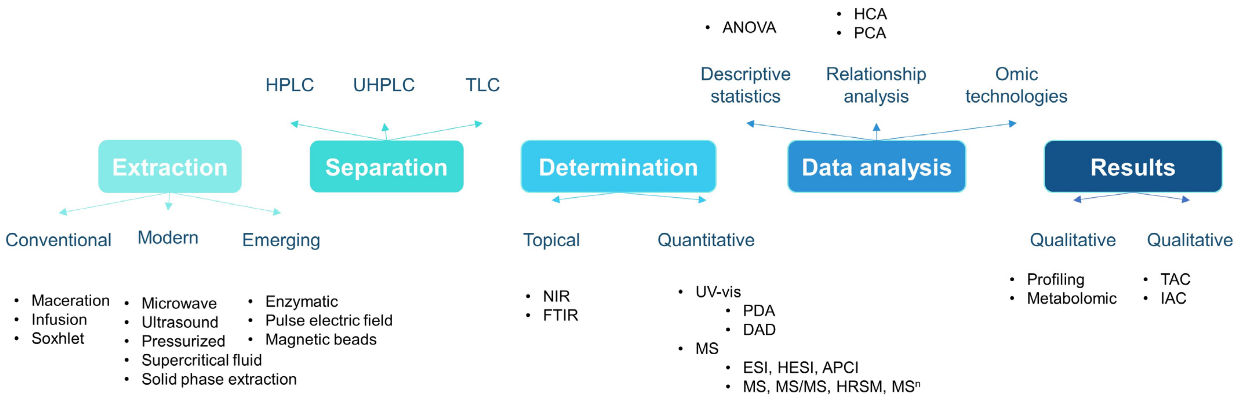 Molecules 29 01735 g002