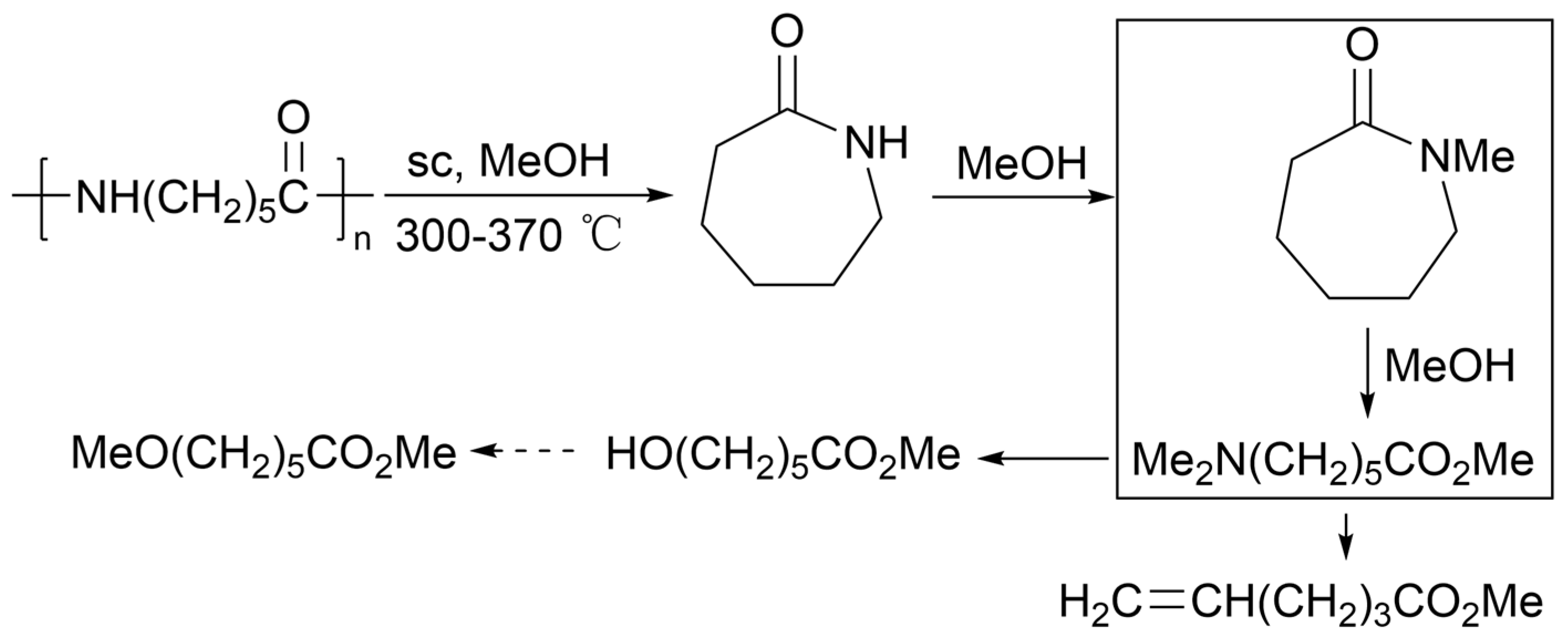 Molecules 29 01742 g020 Molecules 29 01742 g020