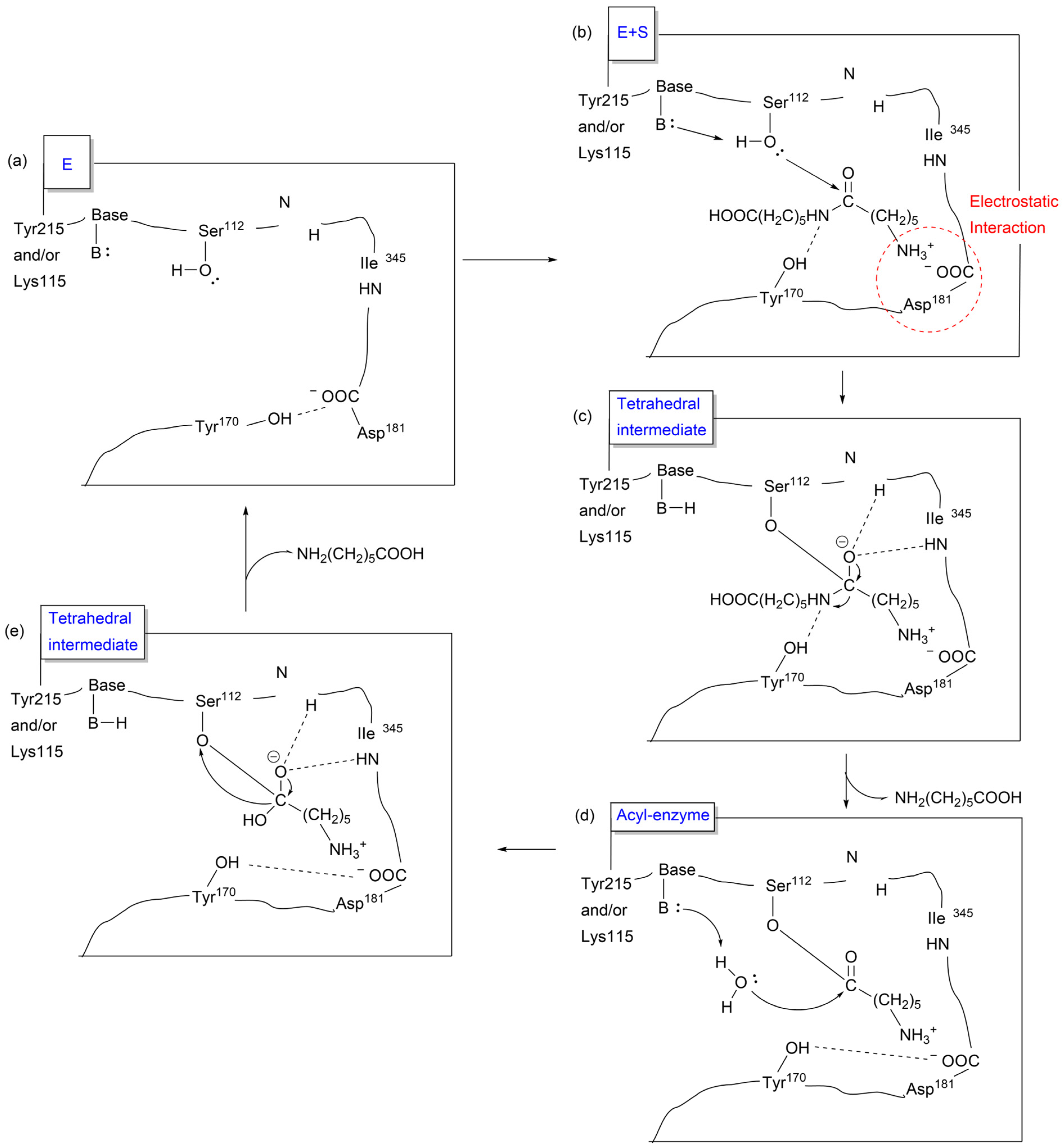 Molecules 29 01742 g024 Molecules 29 01742 g024