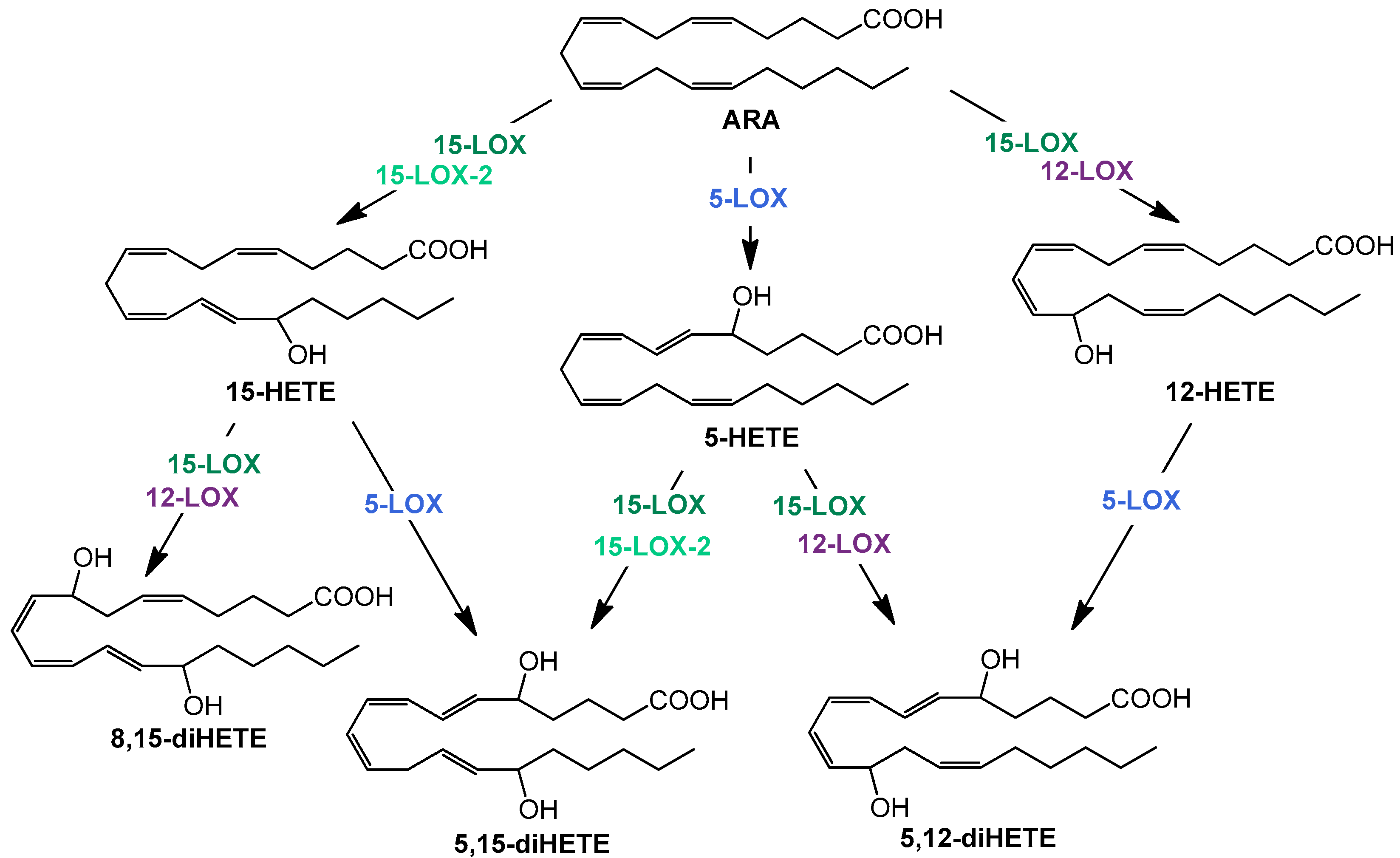 Molecules 29 01745 g001