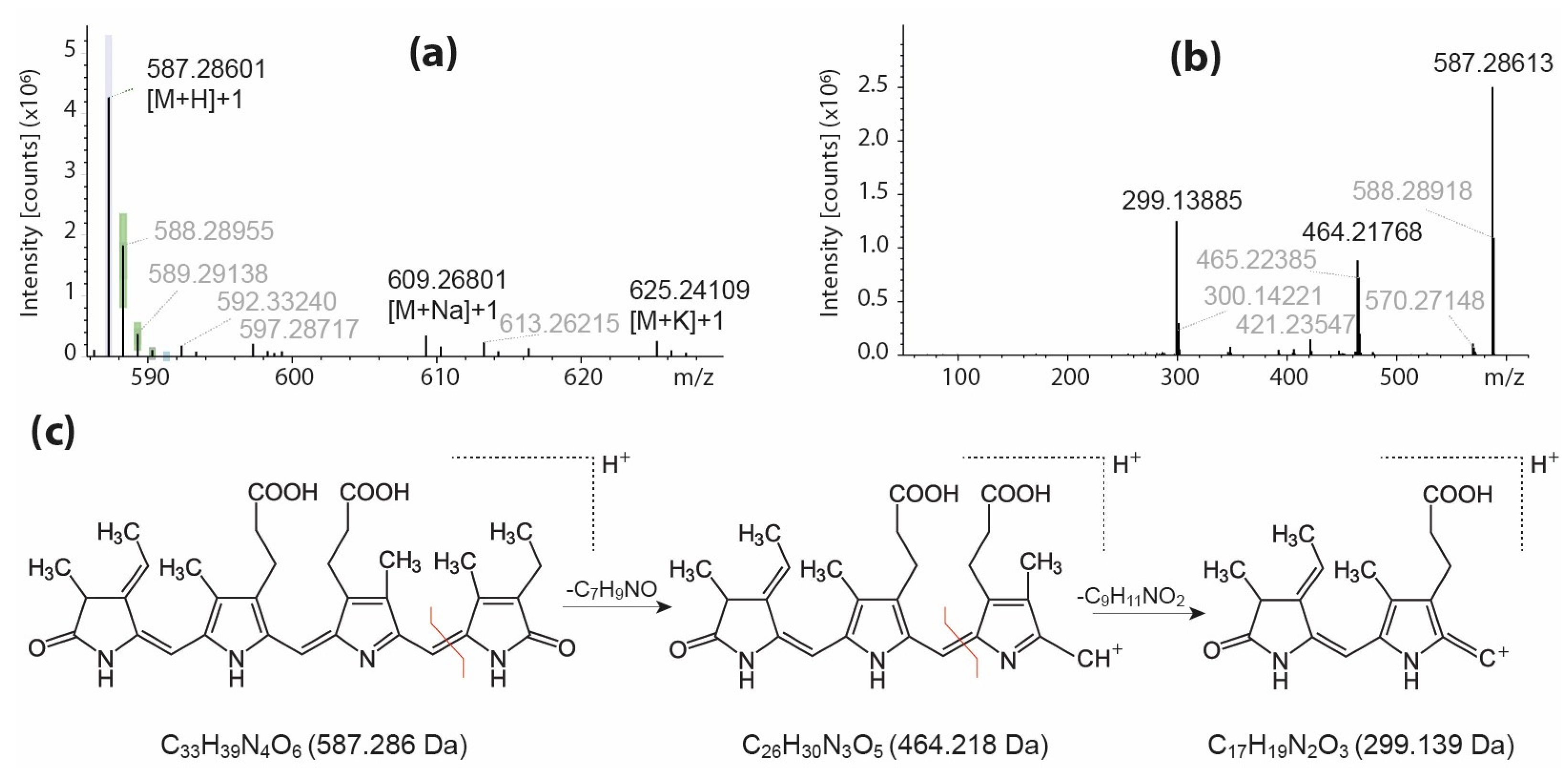 Molecules 29 01747 g002
