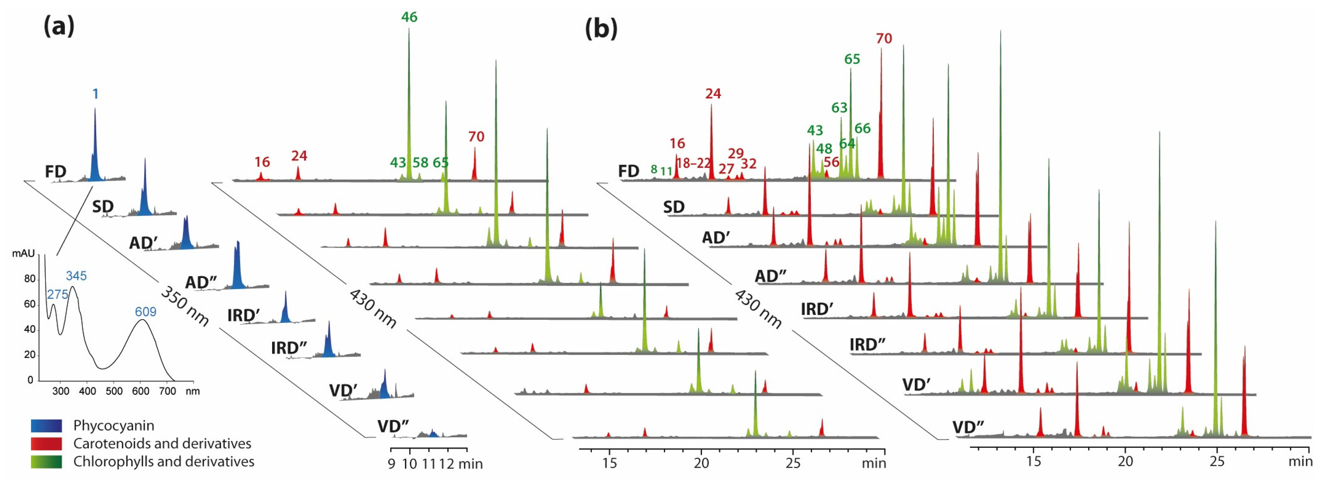 Molecules 29 01747 g004