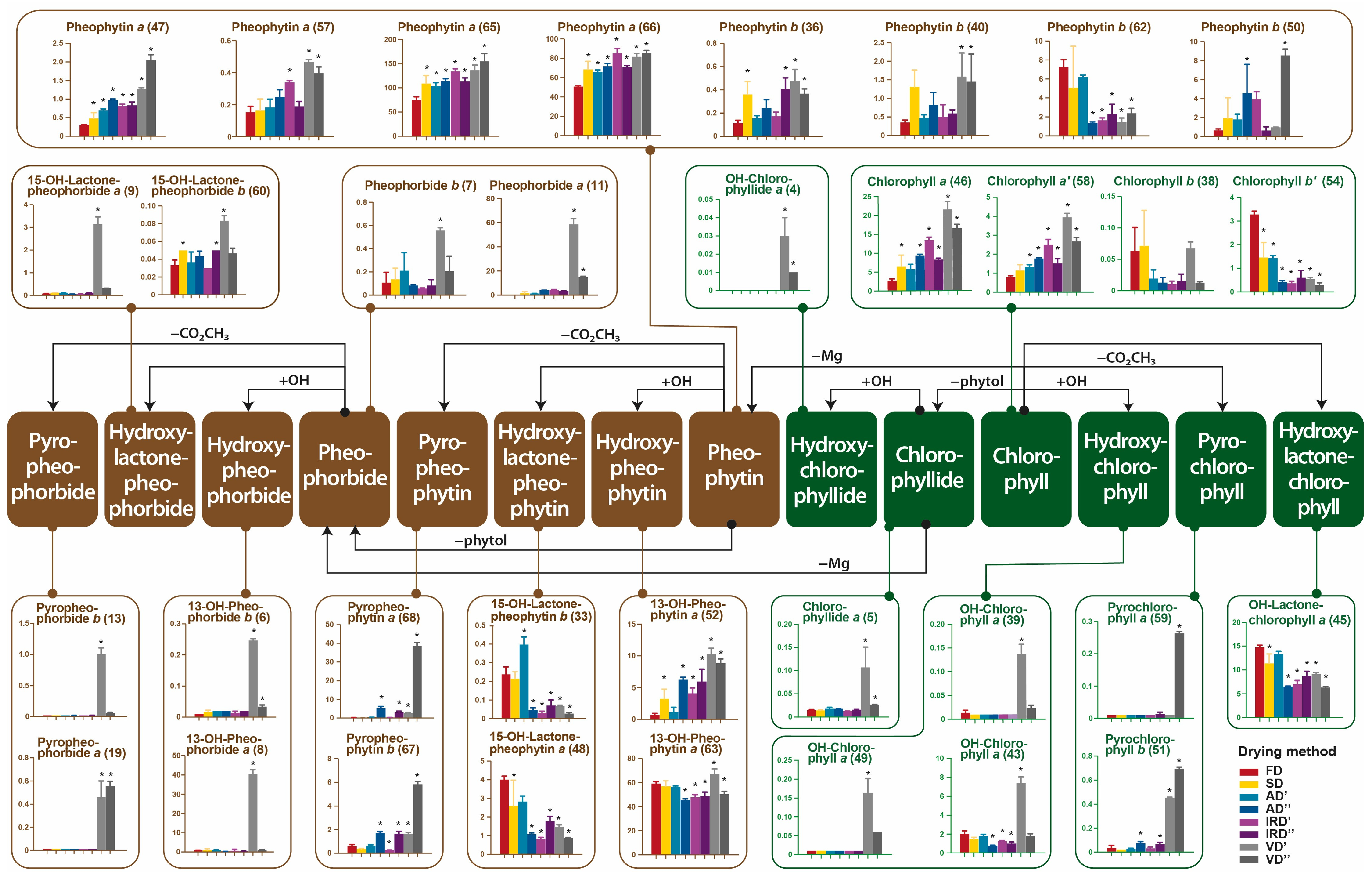 Molecules 29 01747 g006