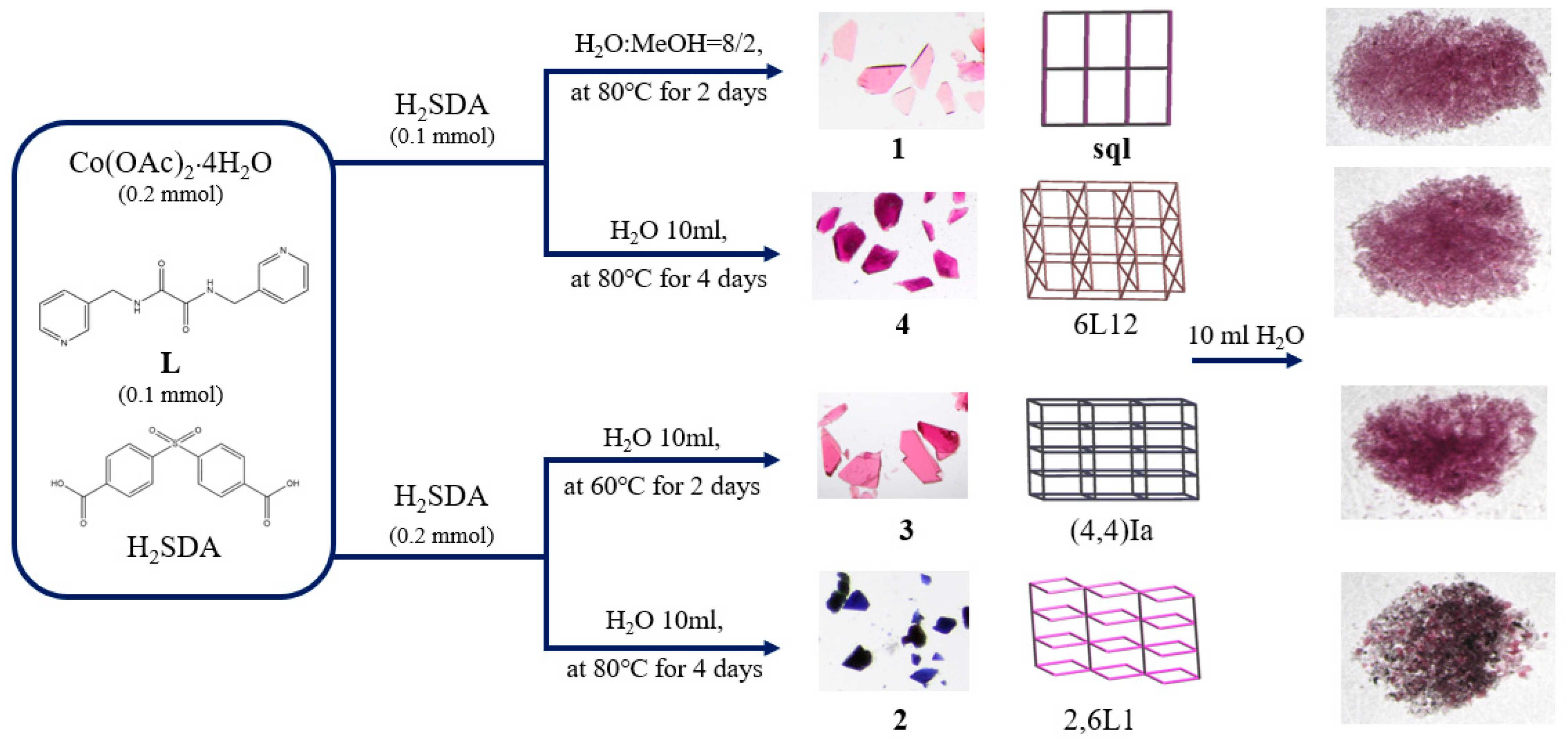 Molecules 29 01748 g007