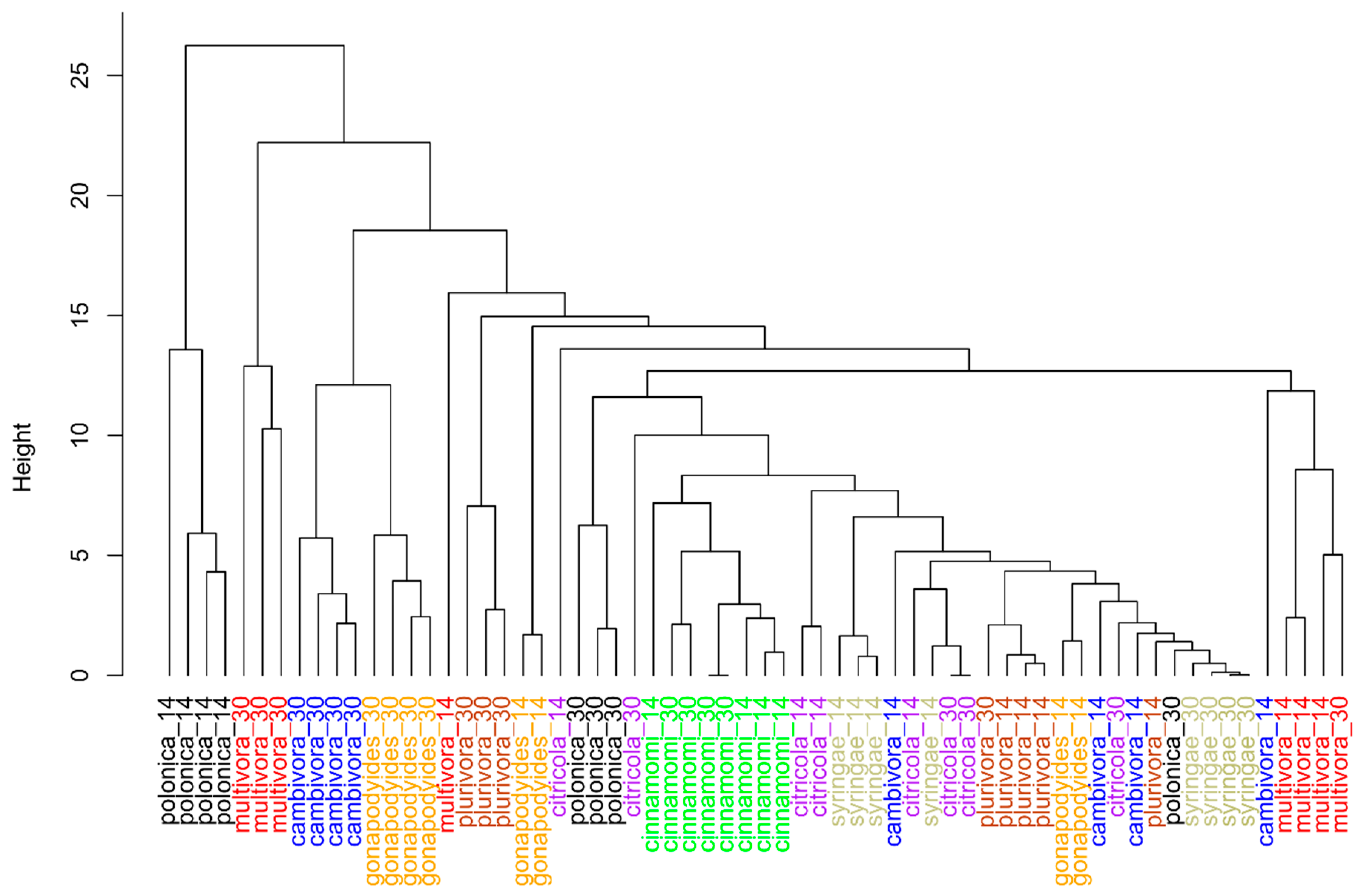 Molecules 29 01749 g002