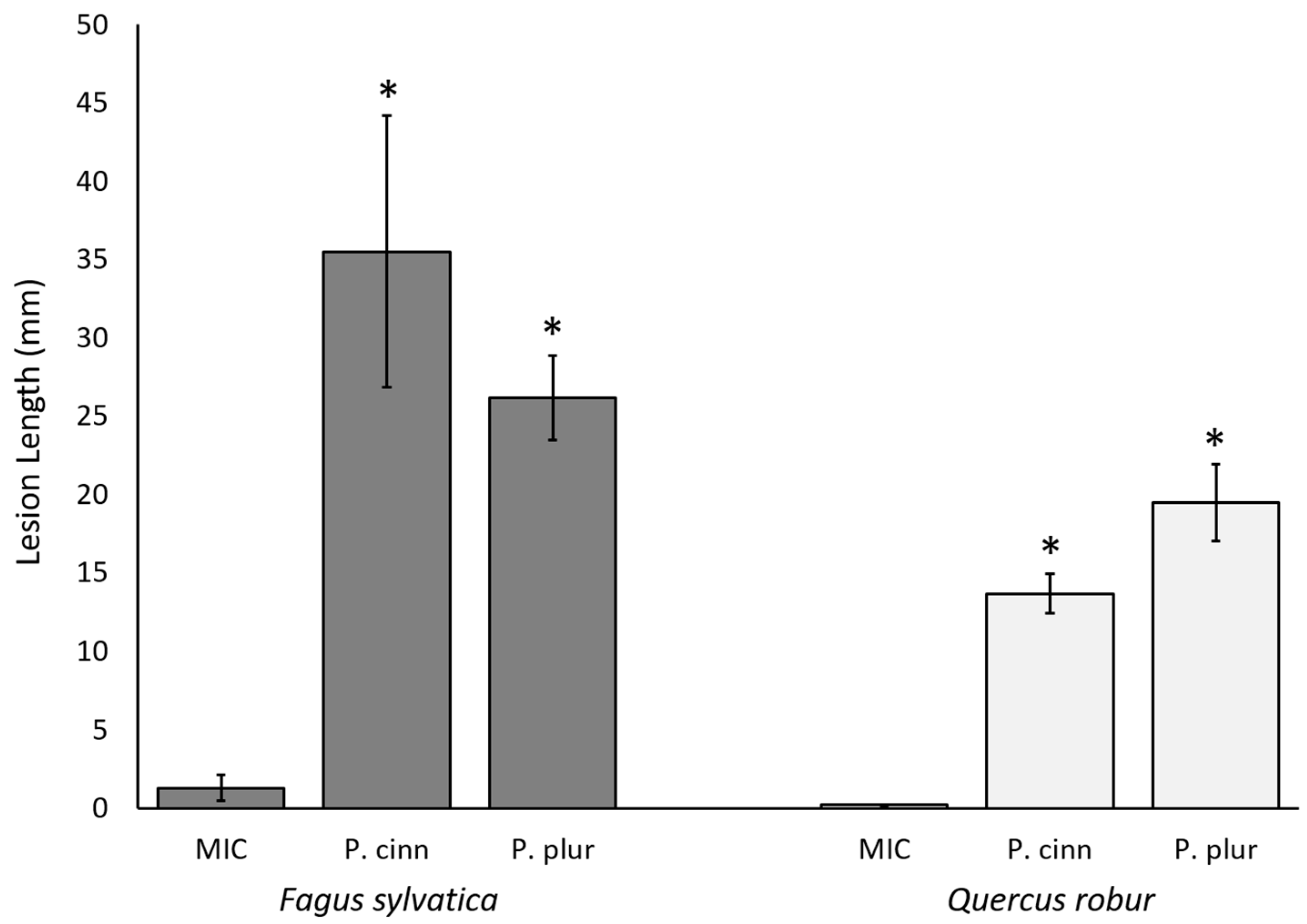 Molecules 29 01749 g003