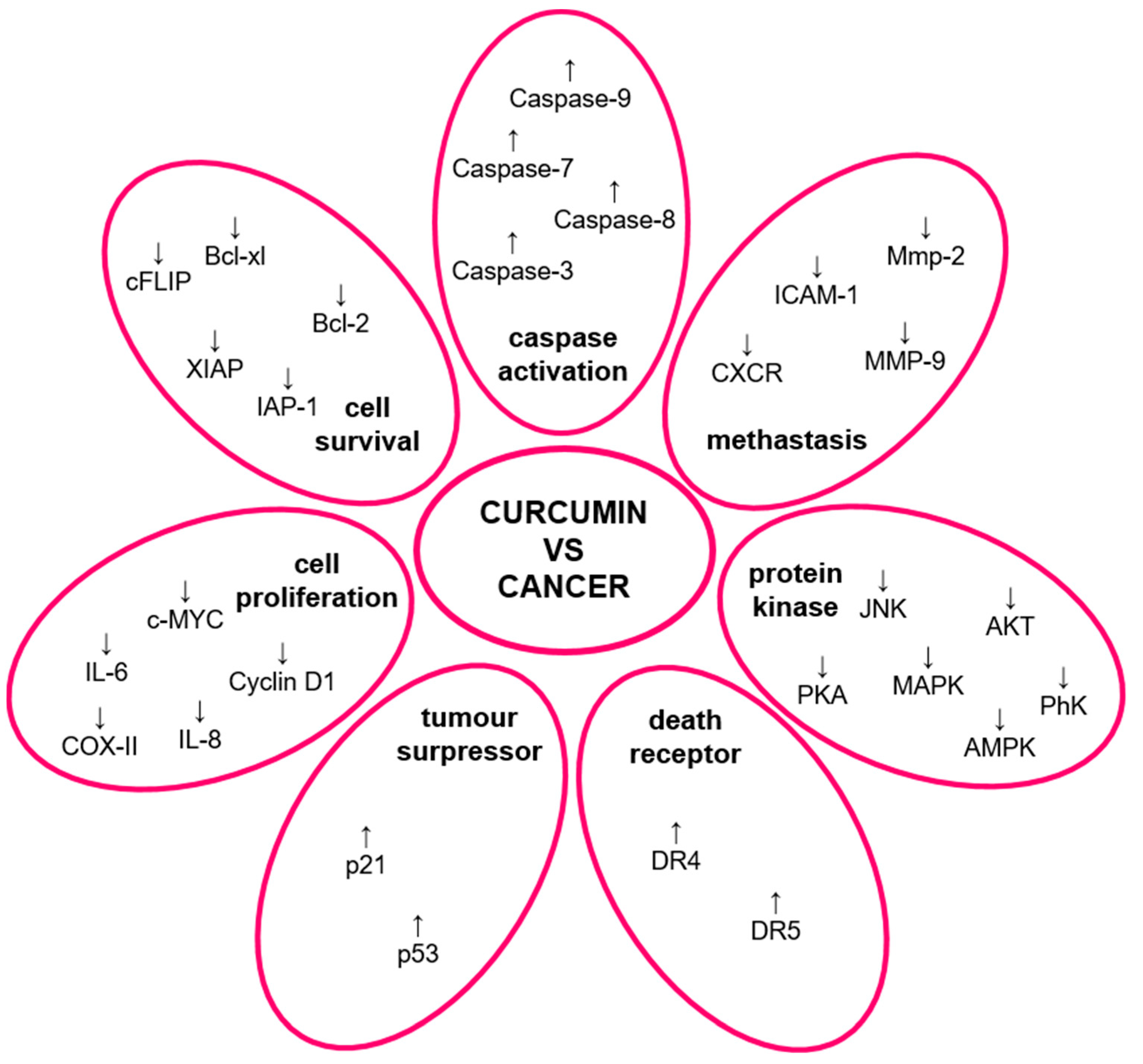 Molecules 29 01757 g002