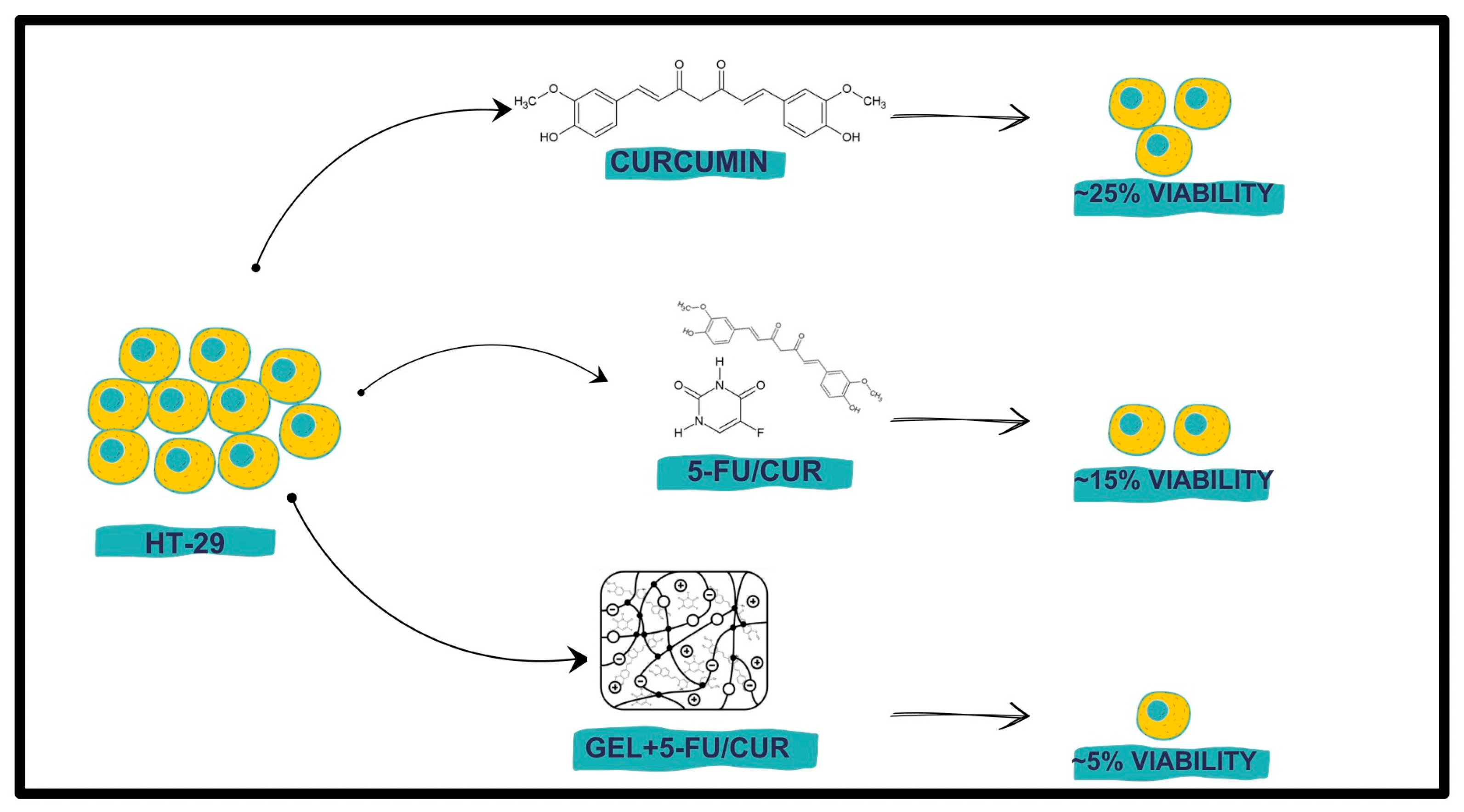 Molecules 29 01757 g005