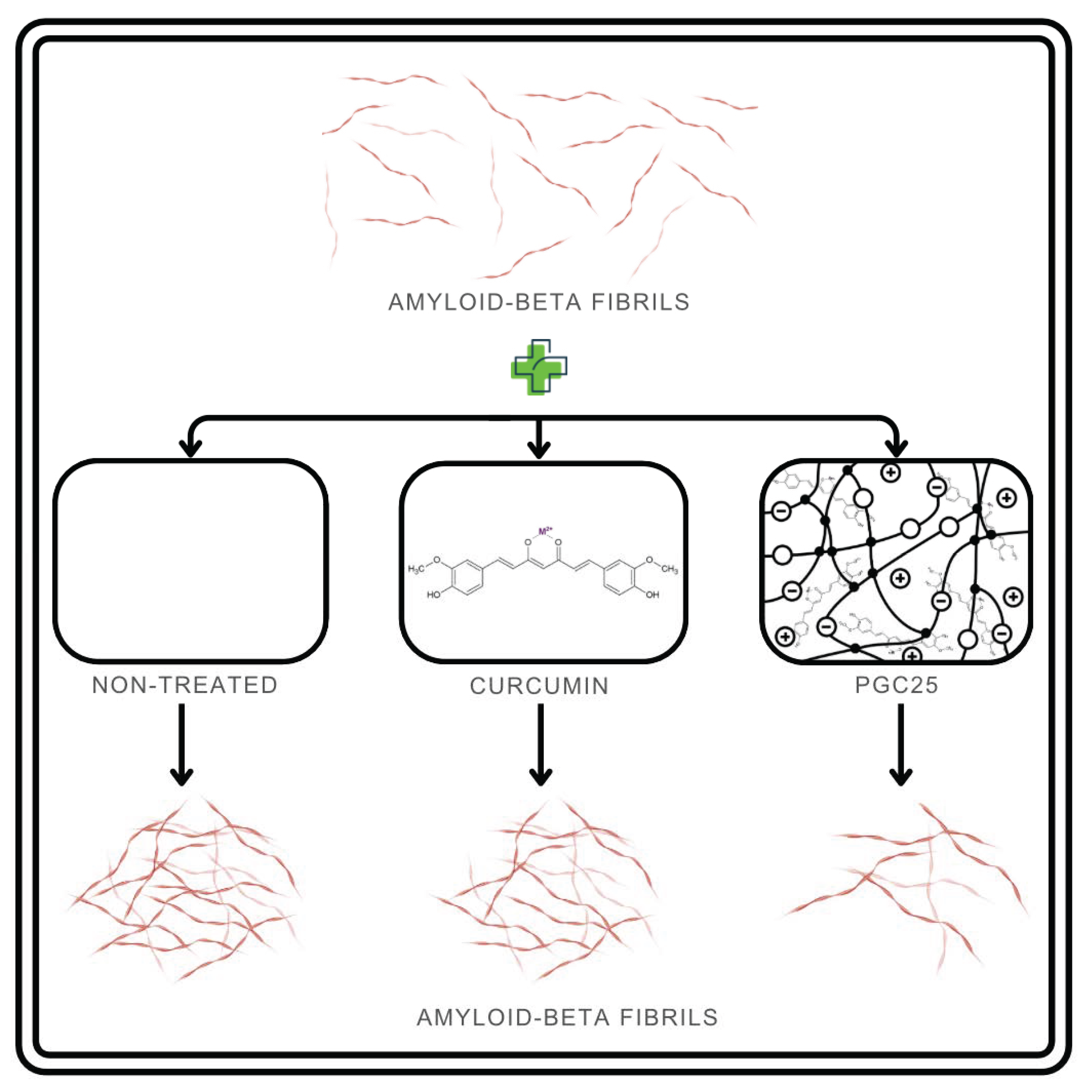 Molecules 29 01757 g006