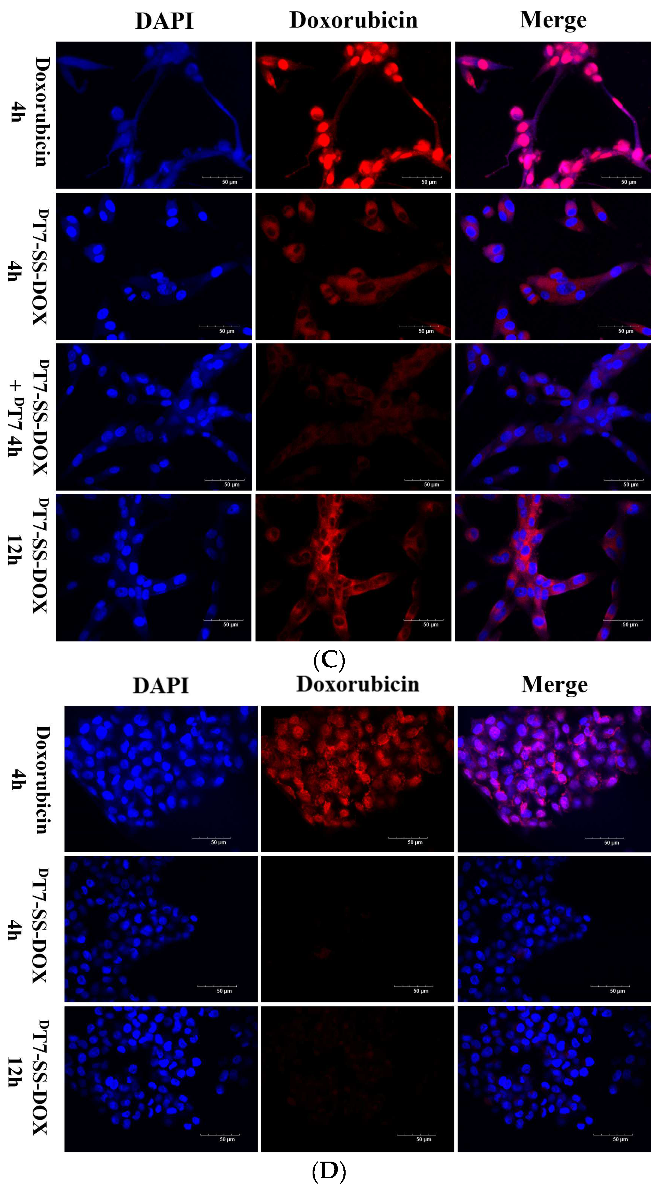 Molecules 29 01758 g003b