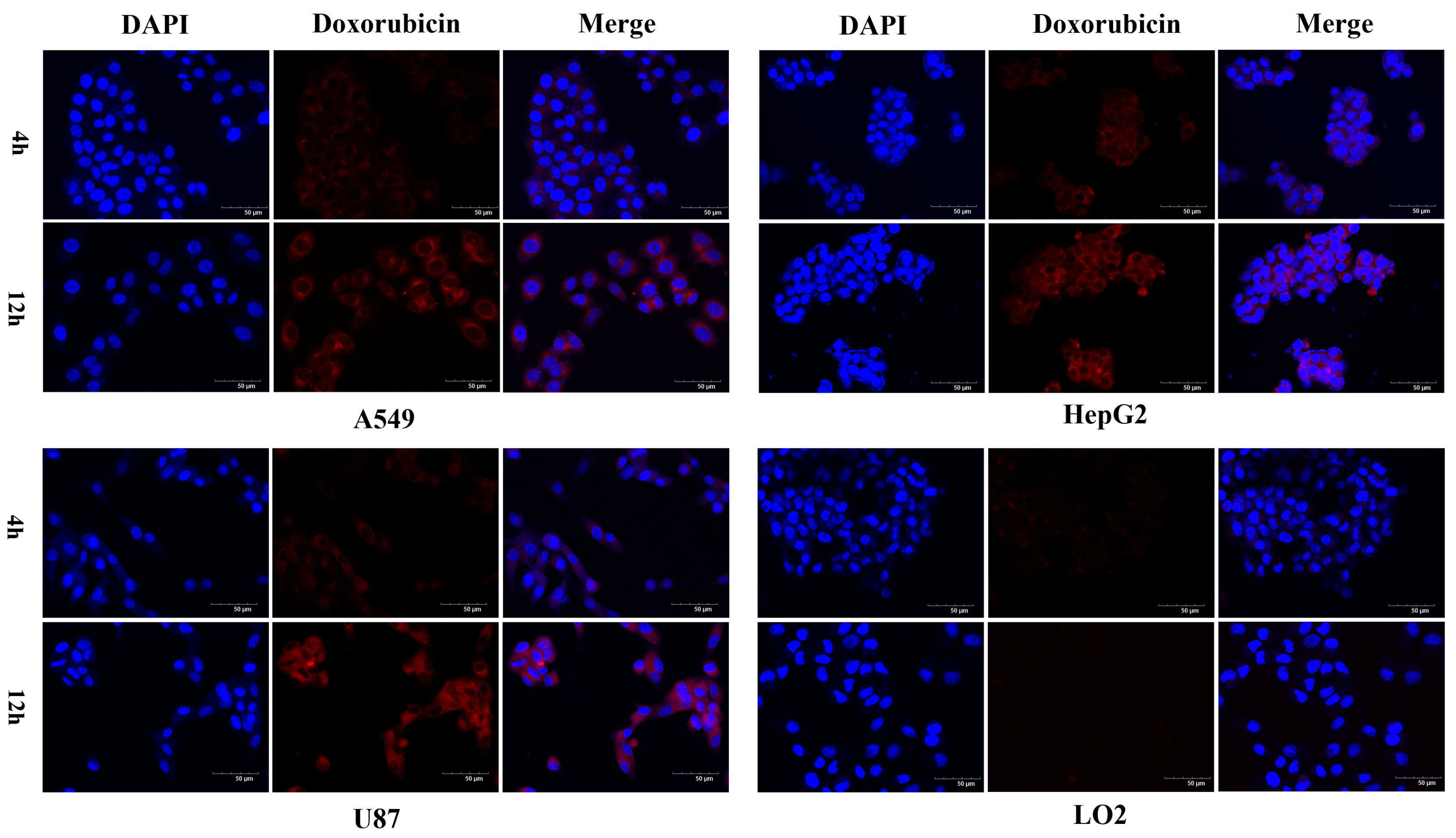 Molecules 29 01758 g004