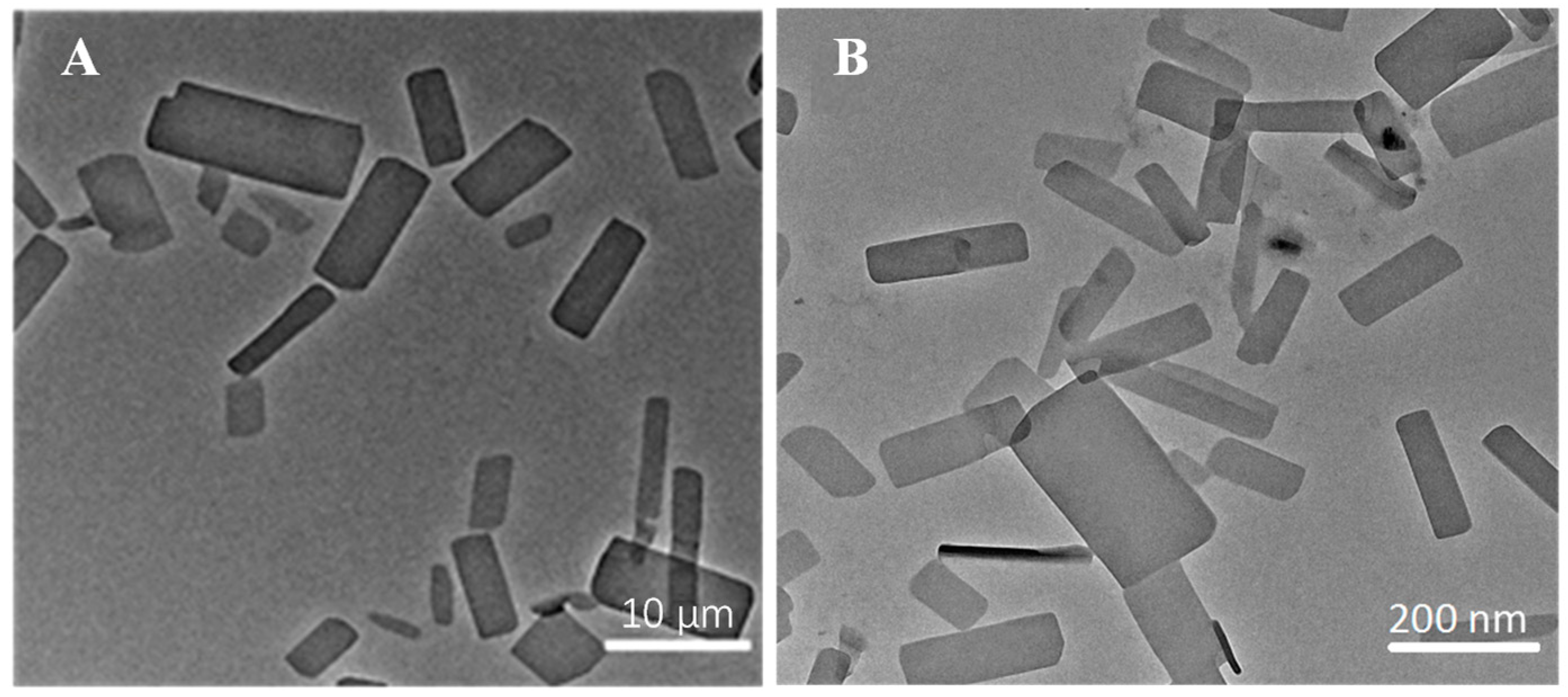 Molecules 29 01769 g001