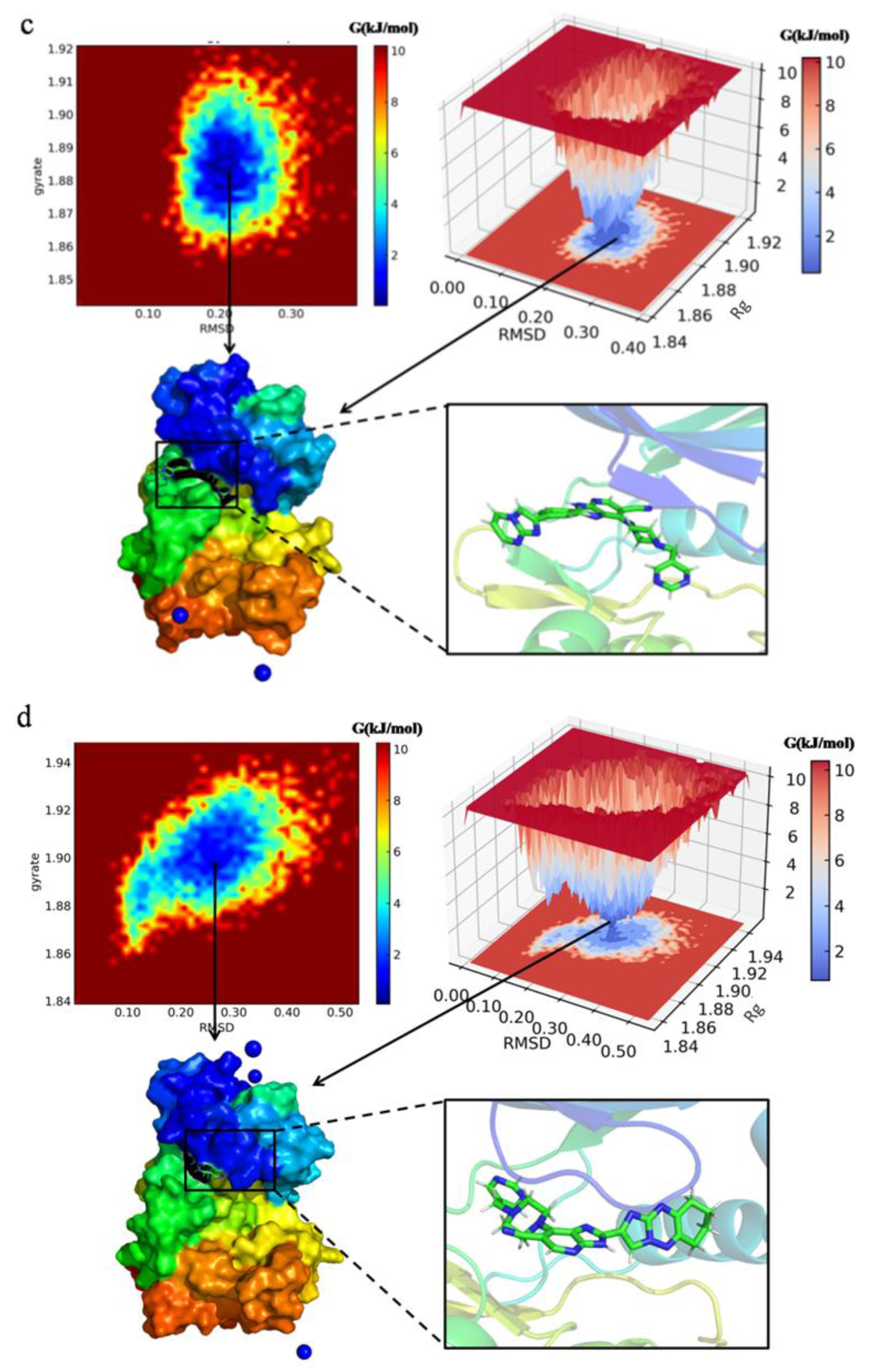 Molecules 29 01772 g012b