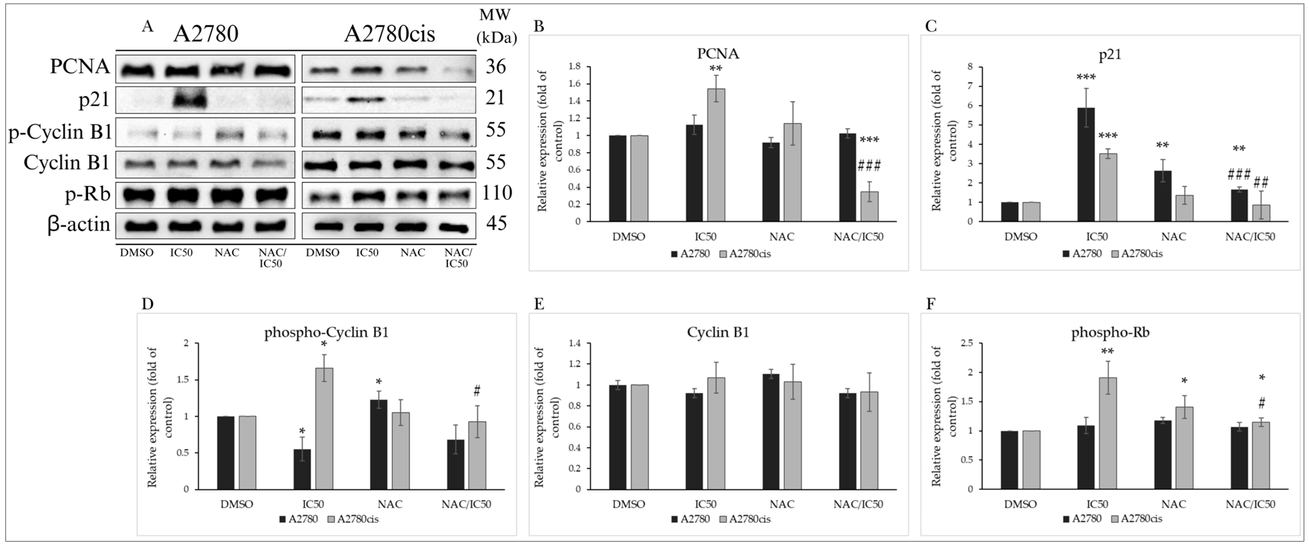 Molecules 29 01773 g008