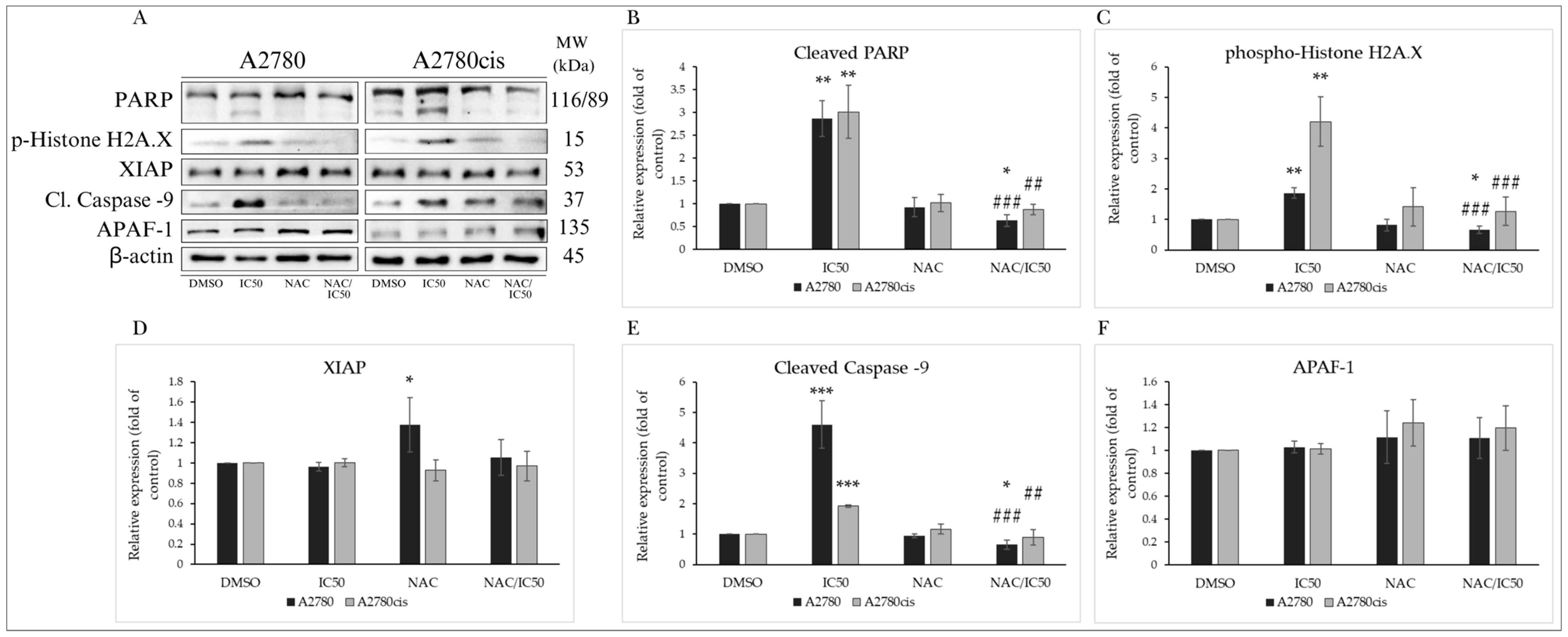 Molecules 29 01773 g012