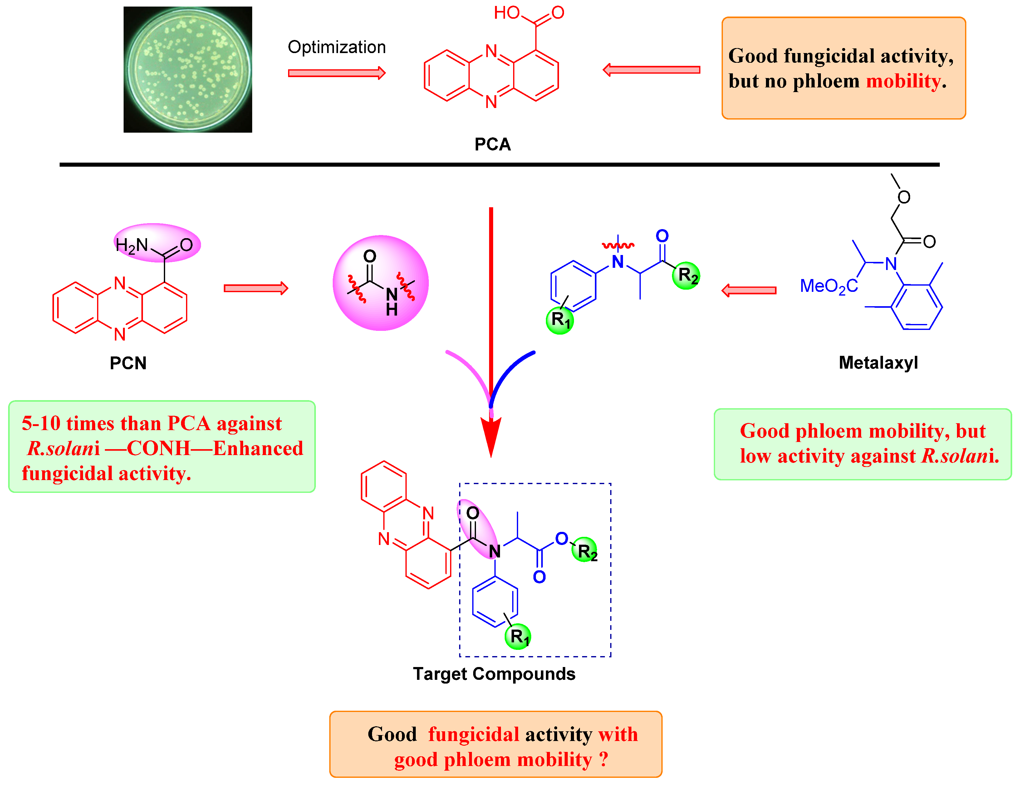 Molecules 29 01780 g002