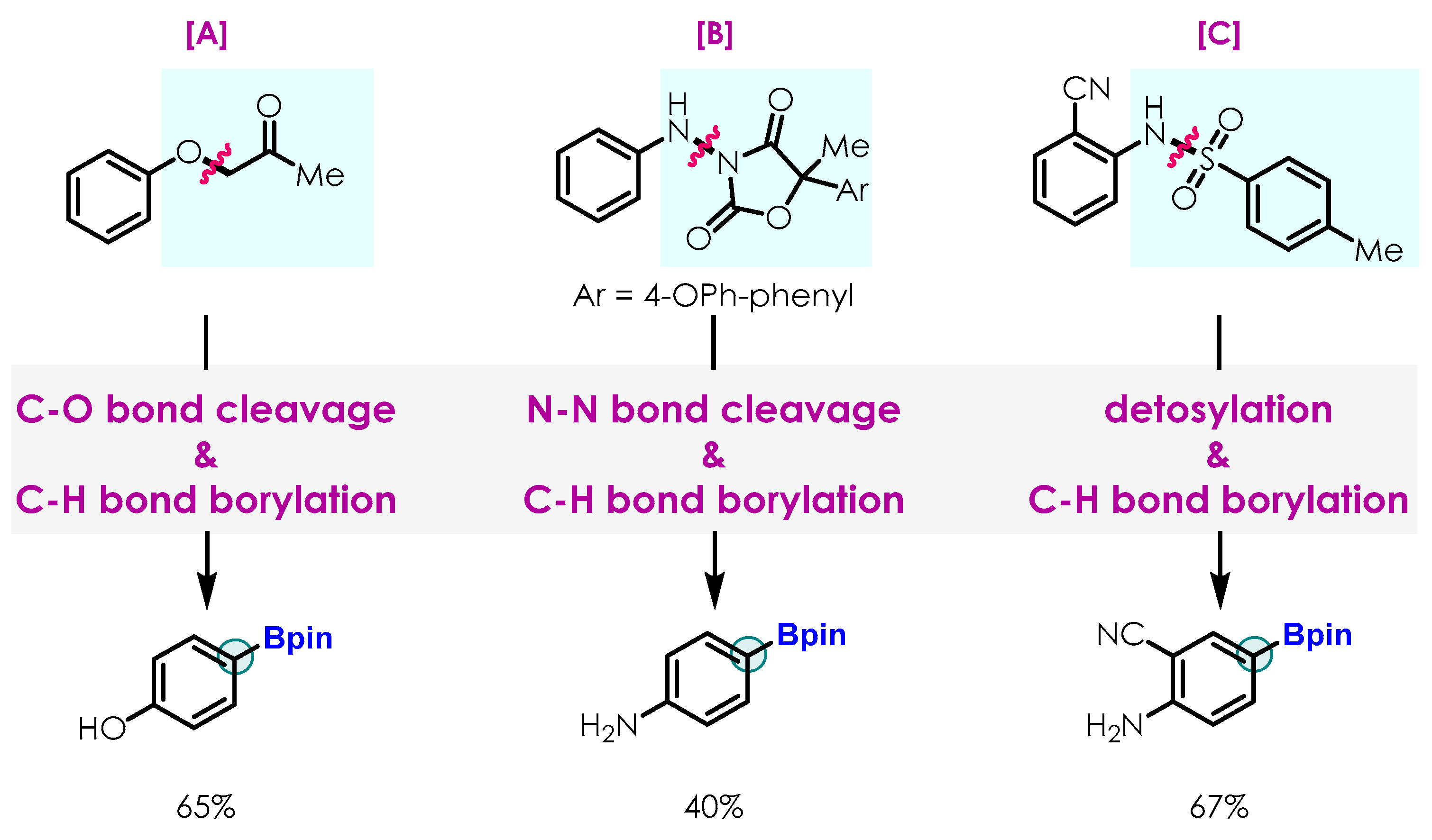 Molecules 29 01783 g003