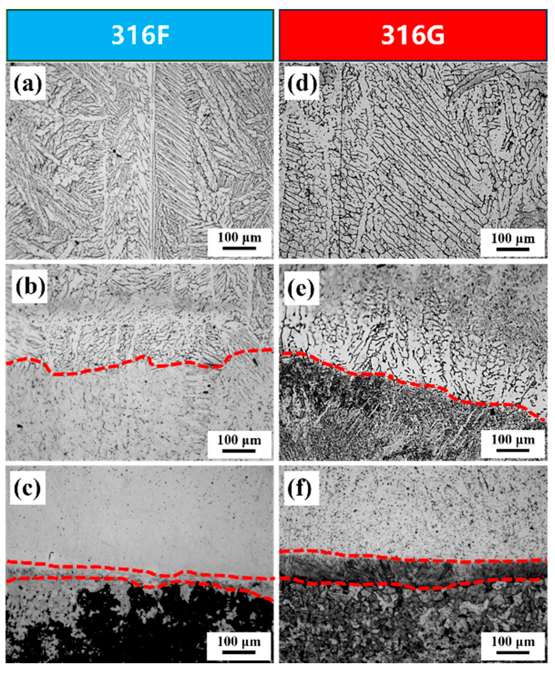 Molecules 29 01785 g002