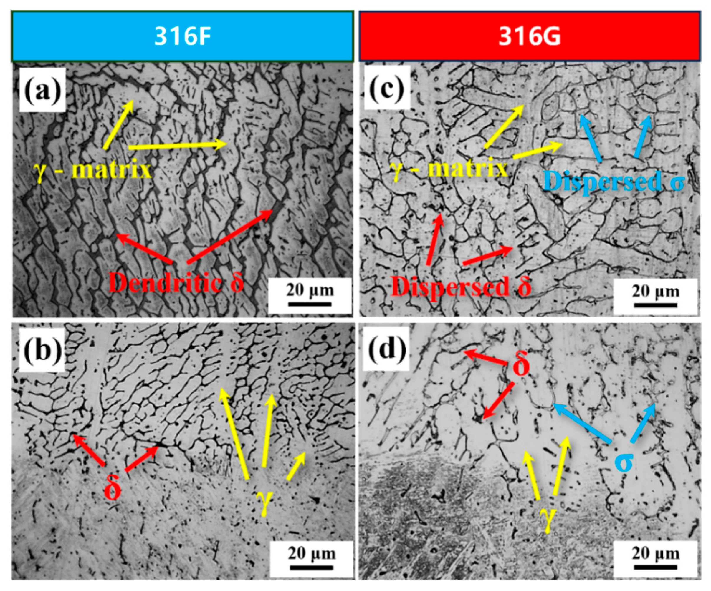 Molecules 29 01785 g004