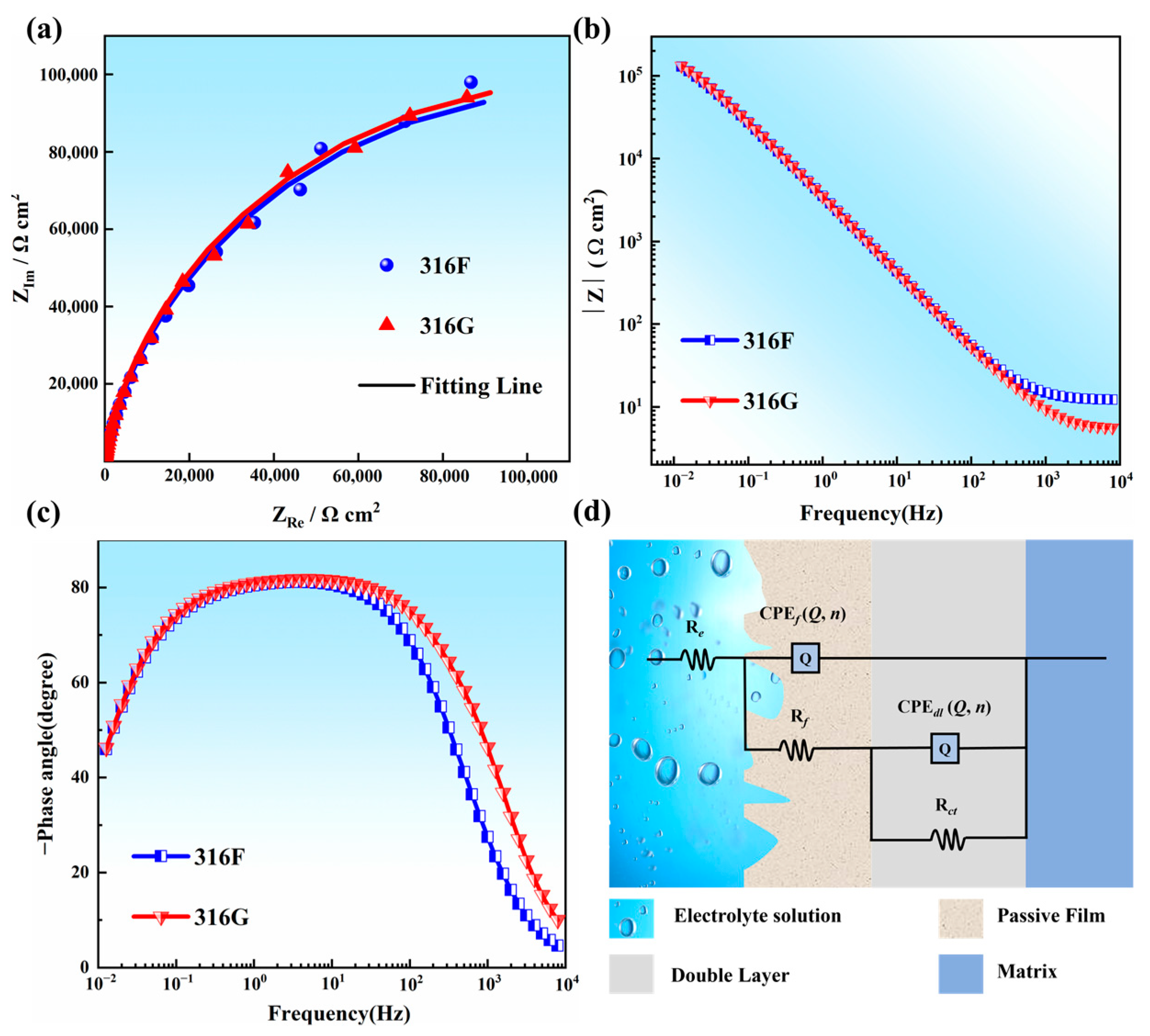 Molecules 29 01785 g005