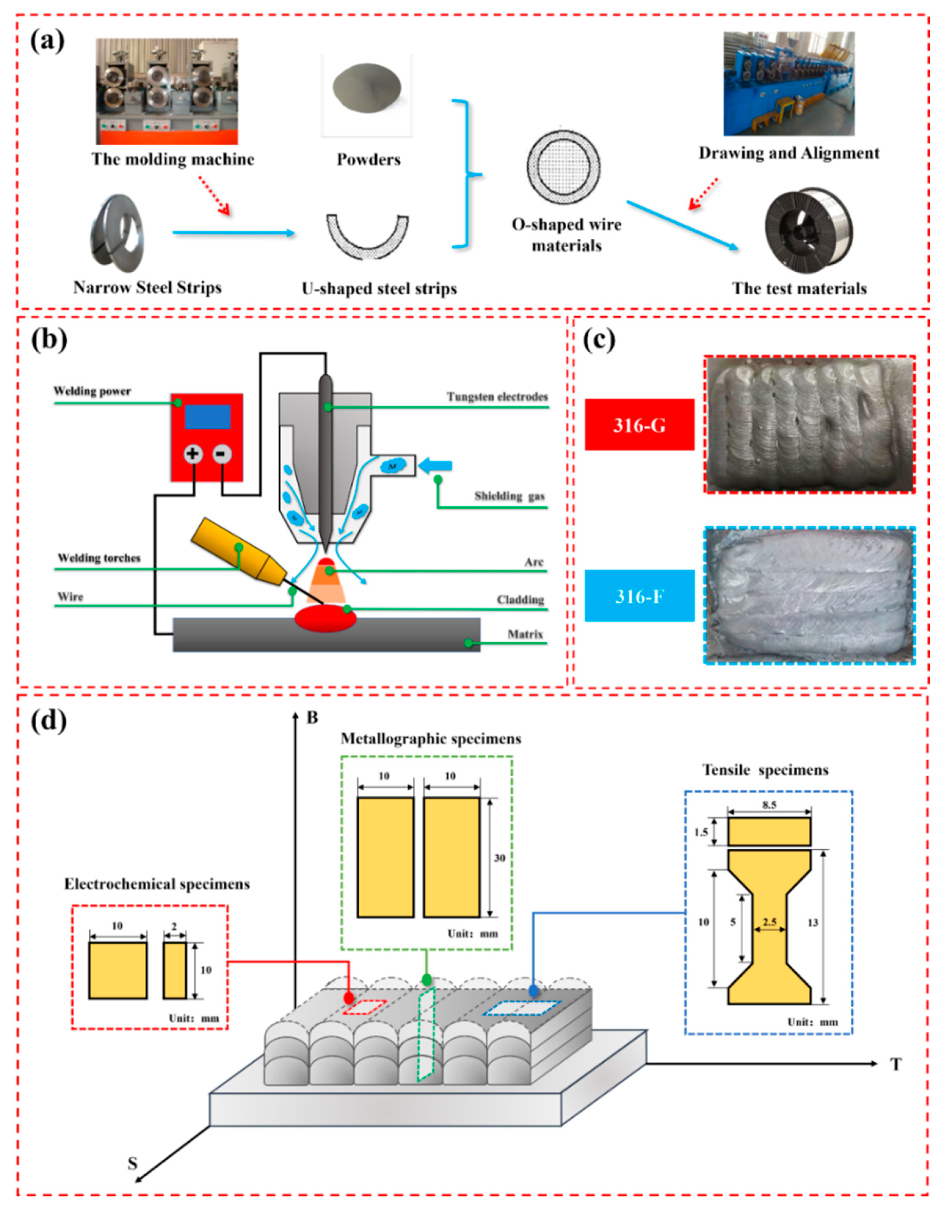 Molecules 29 01785 g011