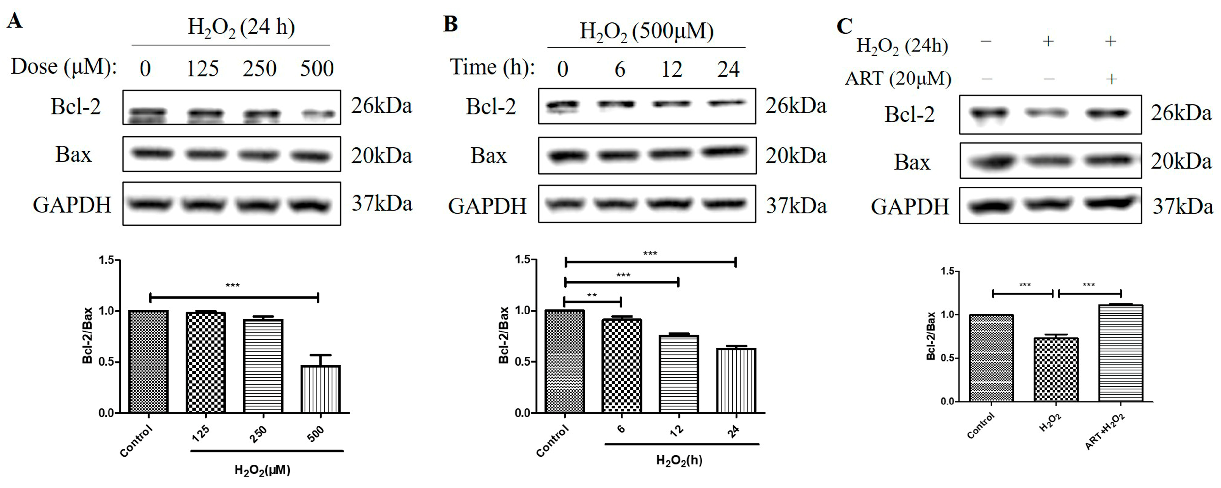 Molecules 29 01789 g005