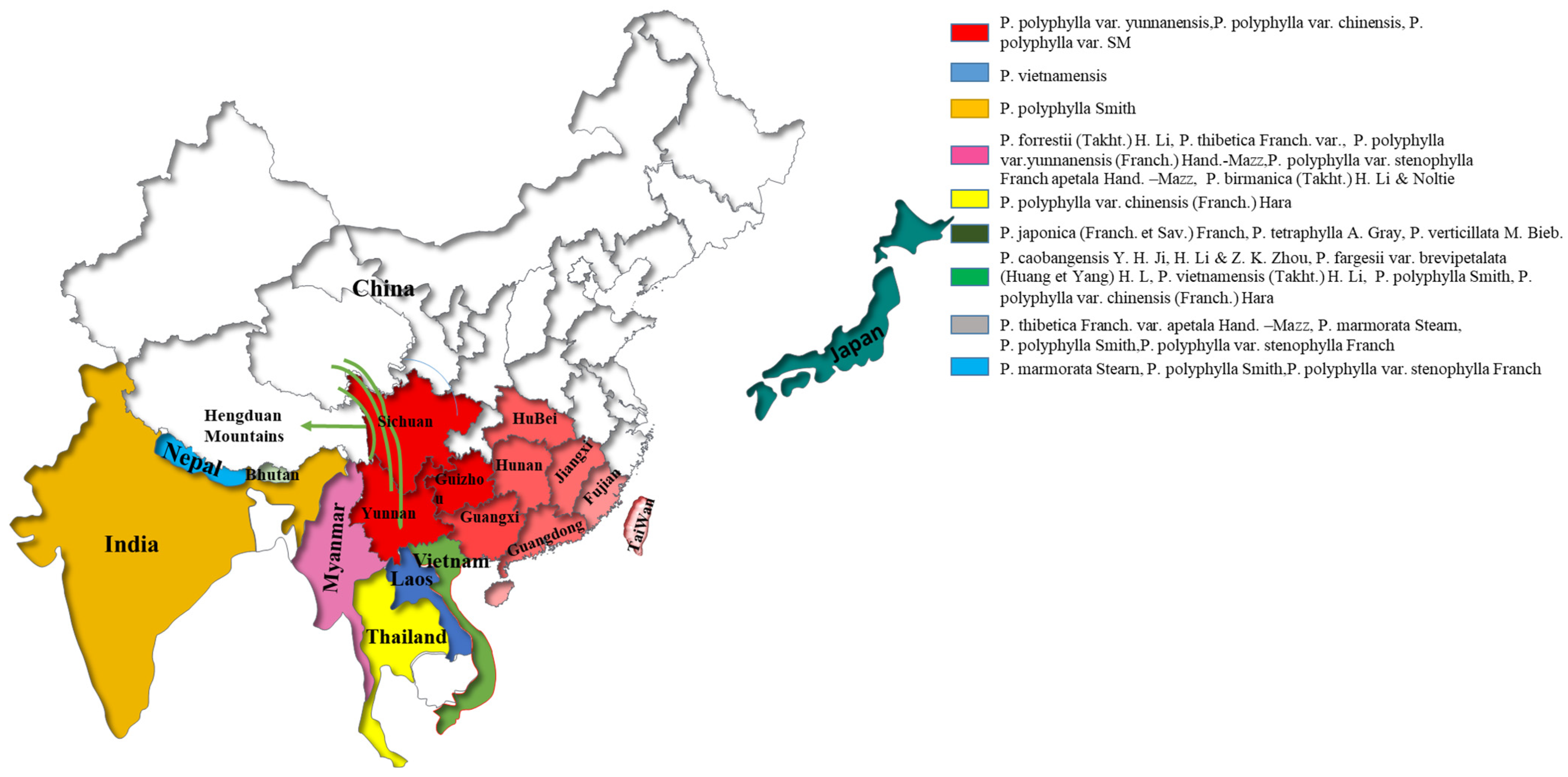 Molecules 29 01793 g001