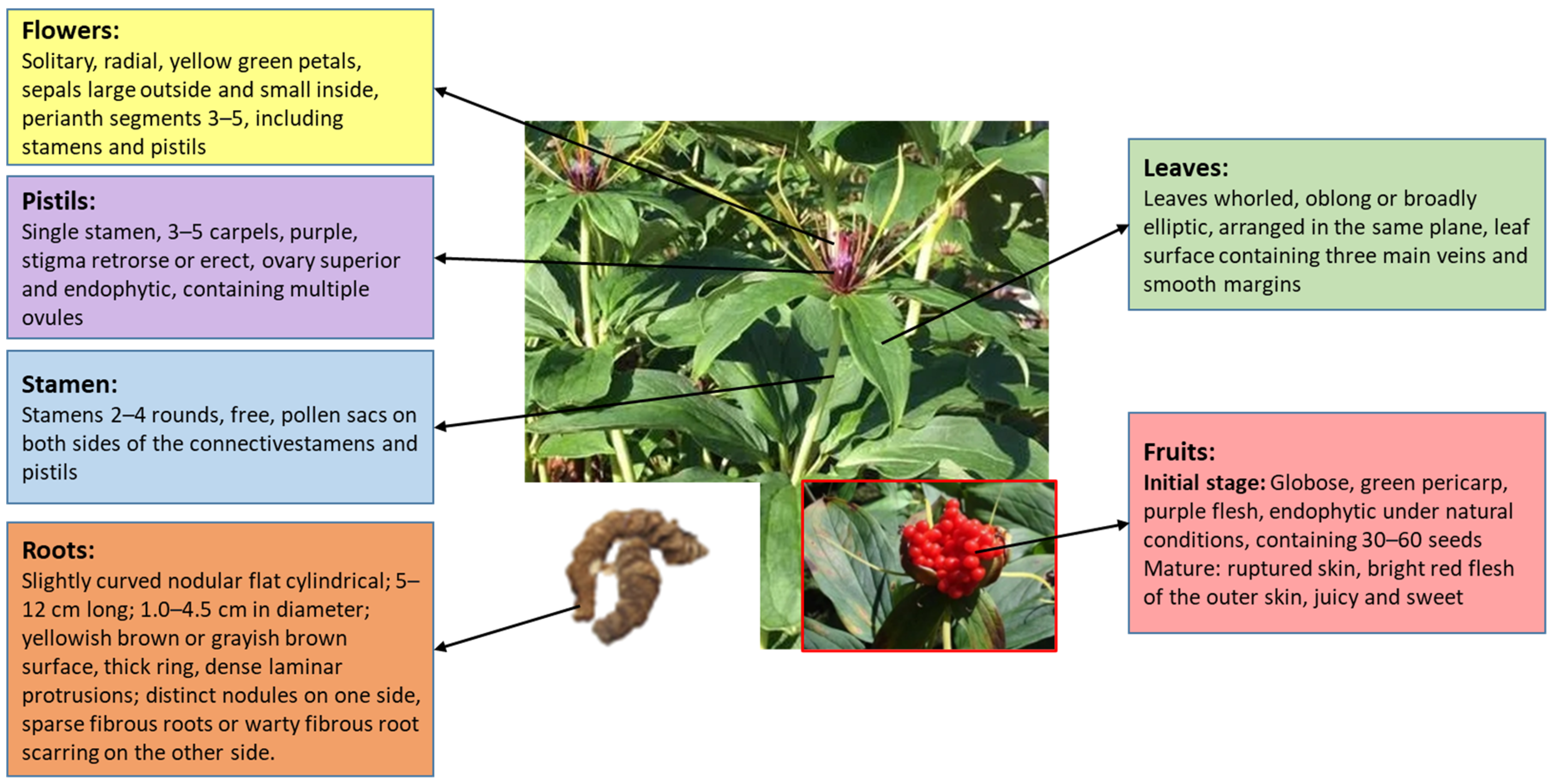 Molecules 29 01793 g002