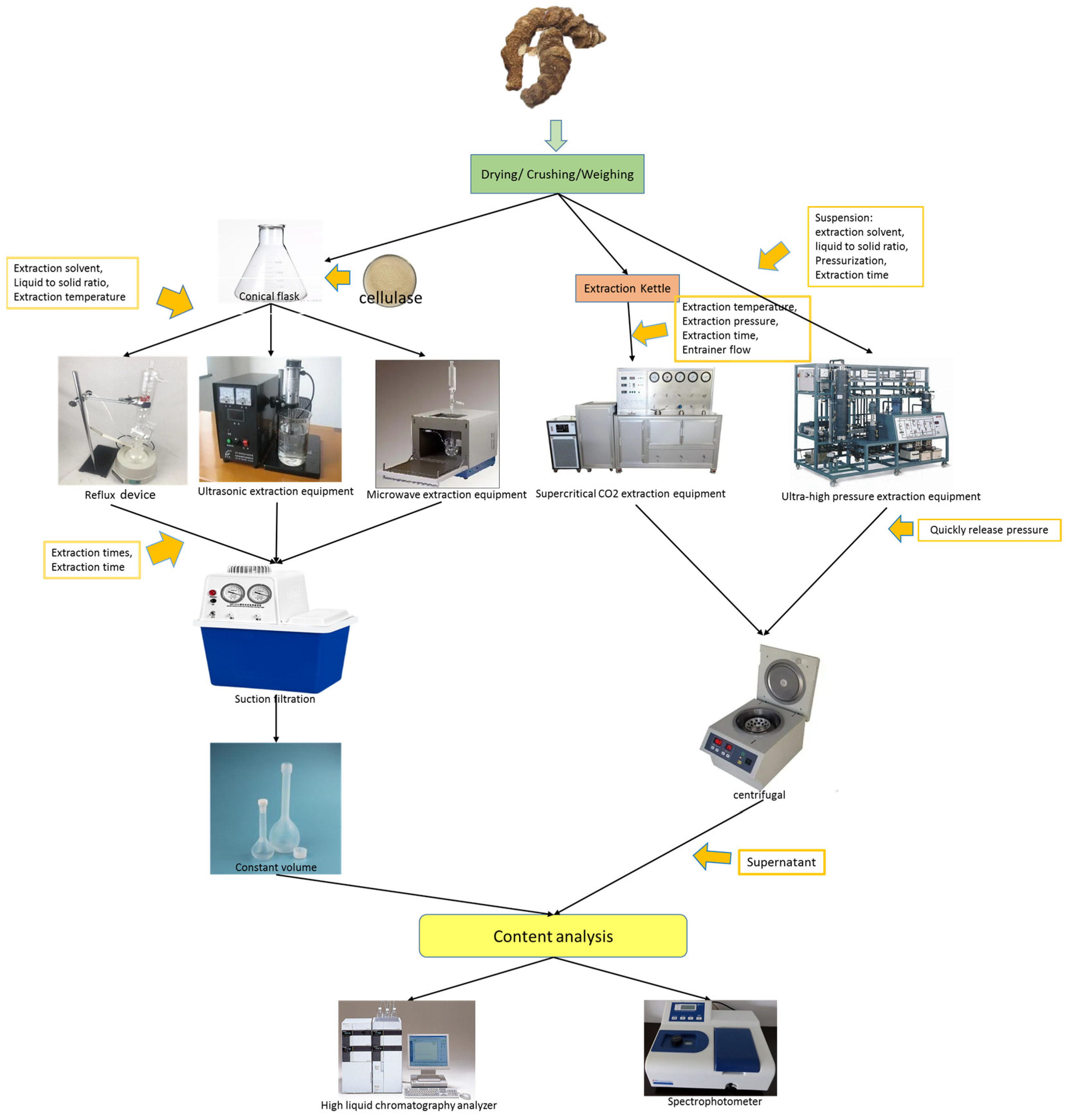 Molecules 29 01793 g005