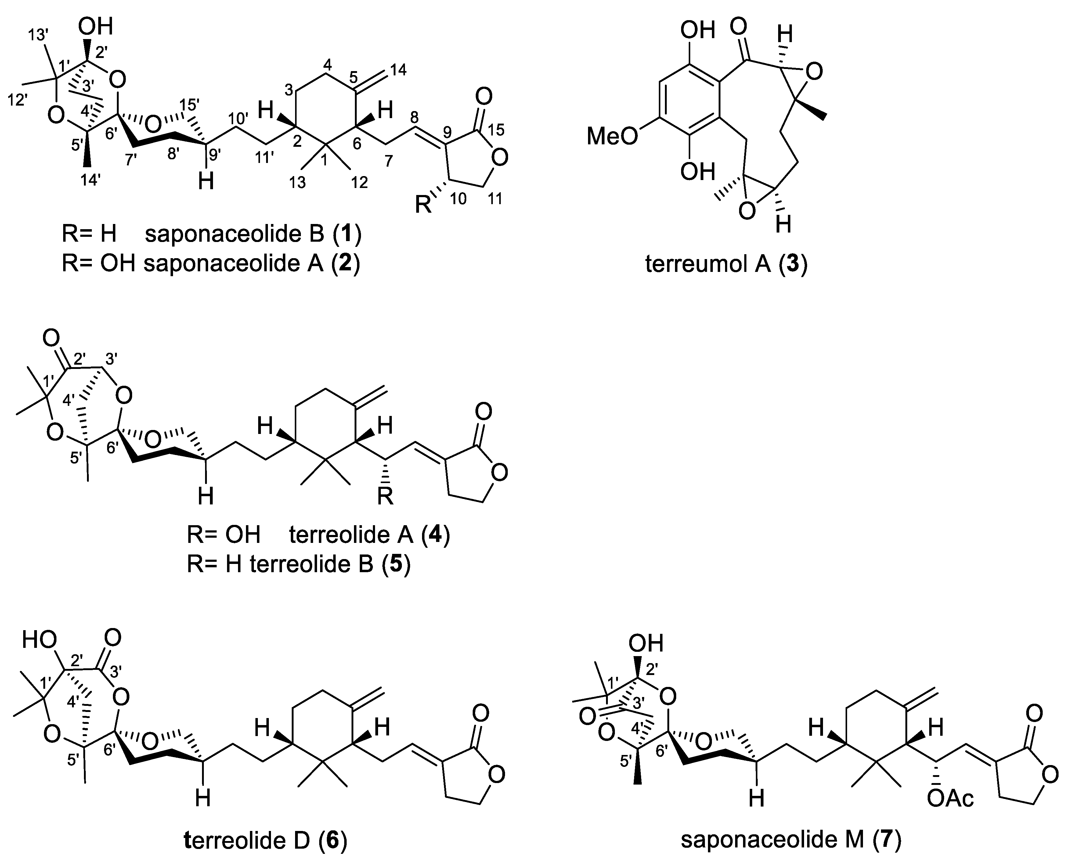 Molecules 29 01794 g001