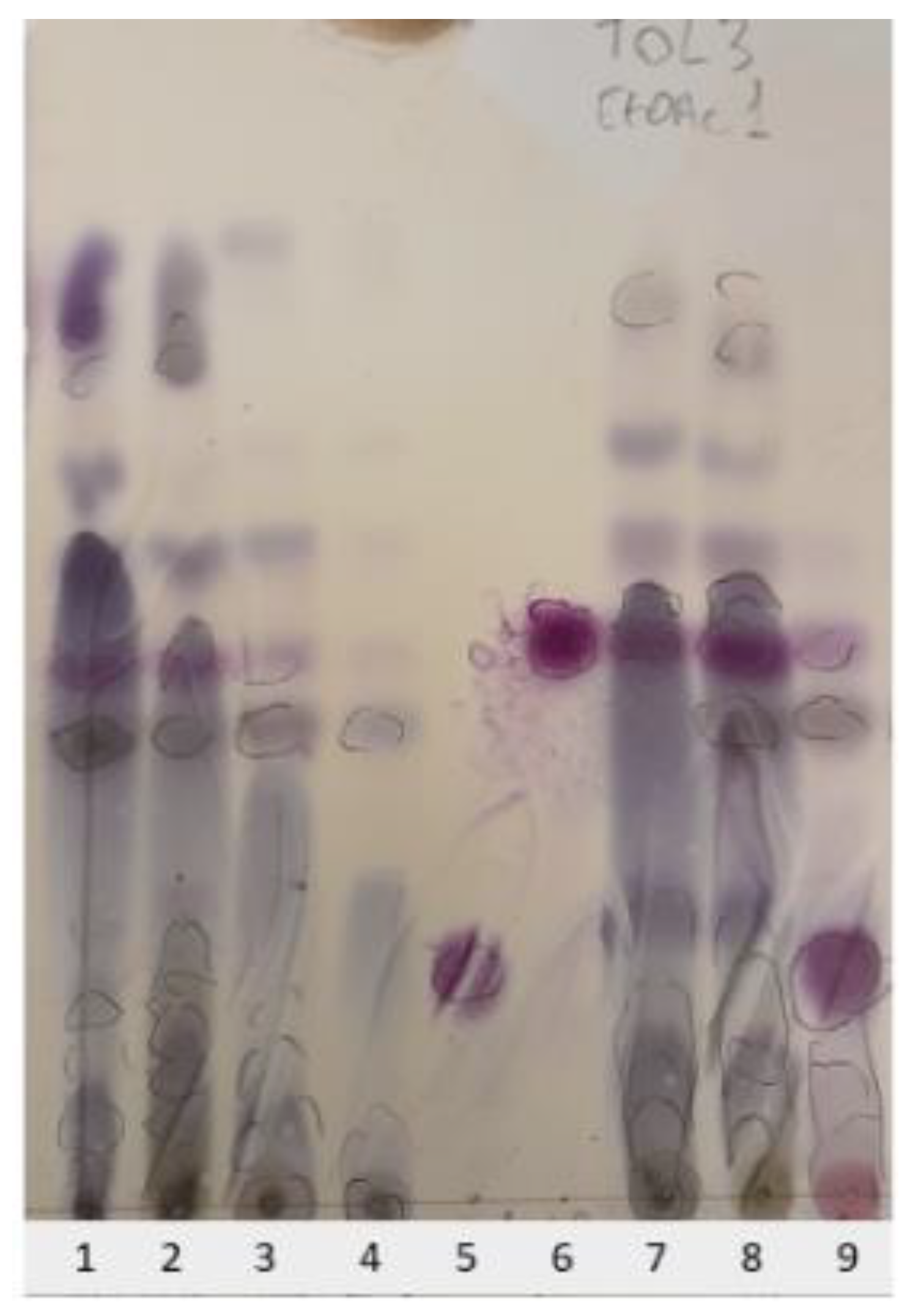 Molecules 29 01794 g002