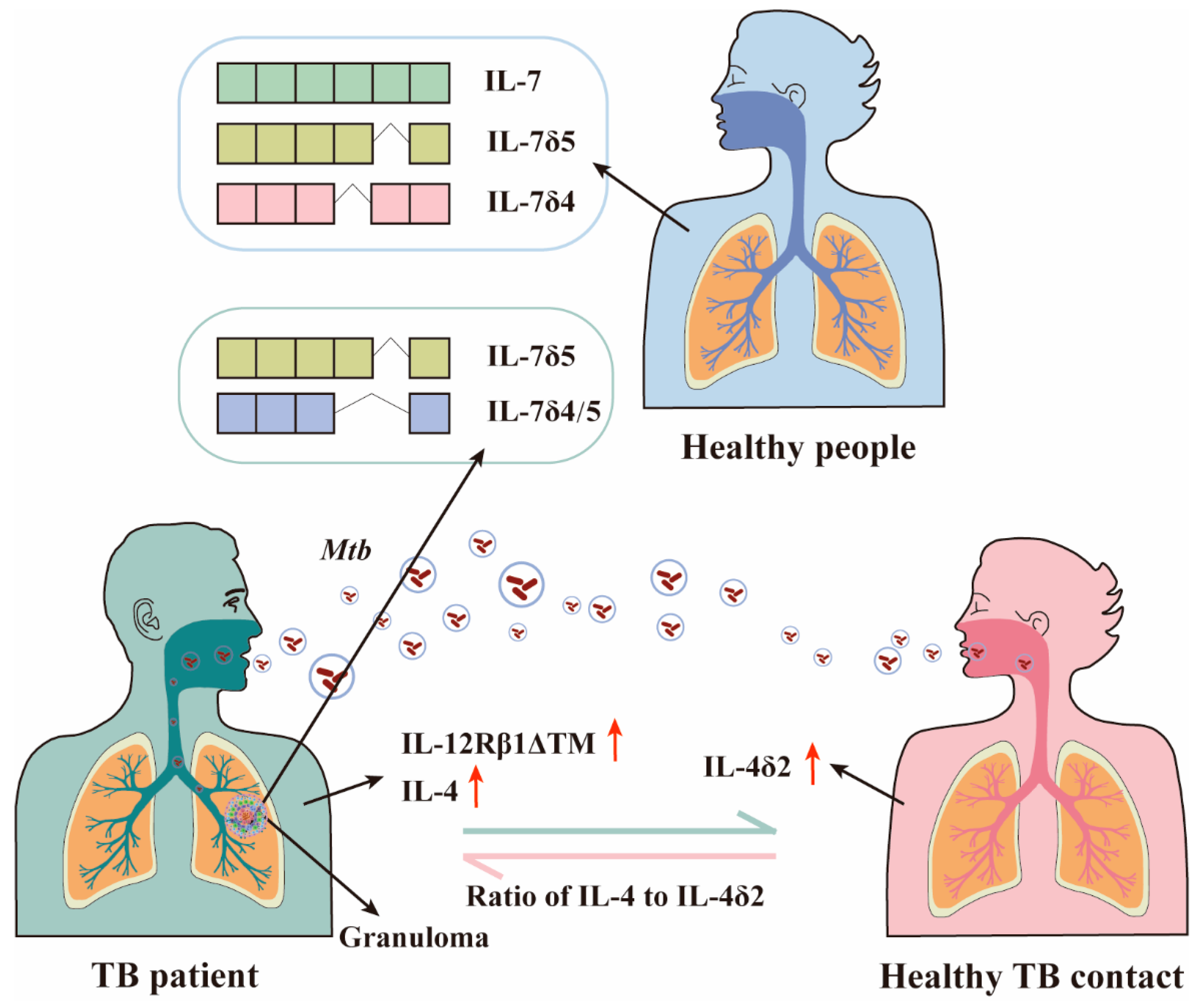 Molecules 29 01798 g003