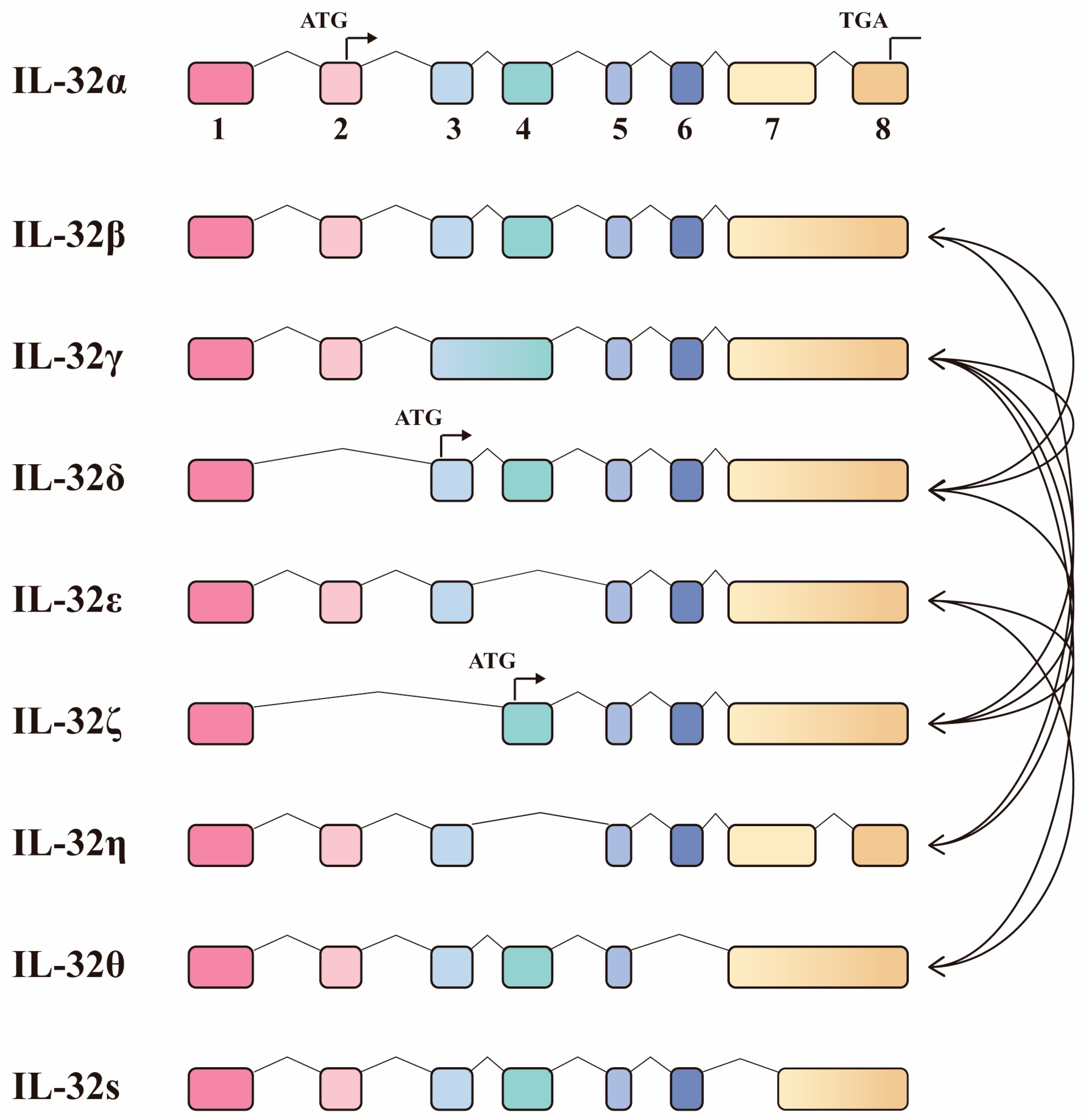 Molecules 29 01798 g004
