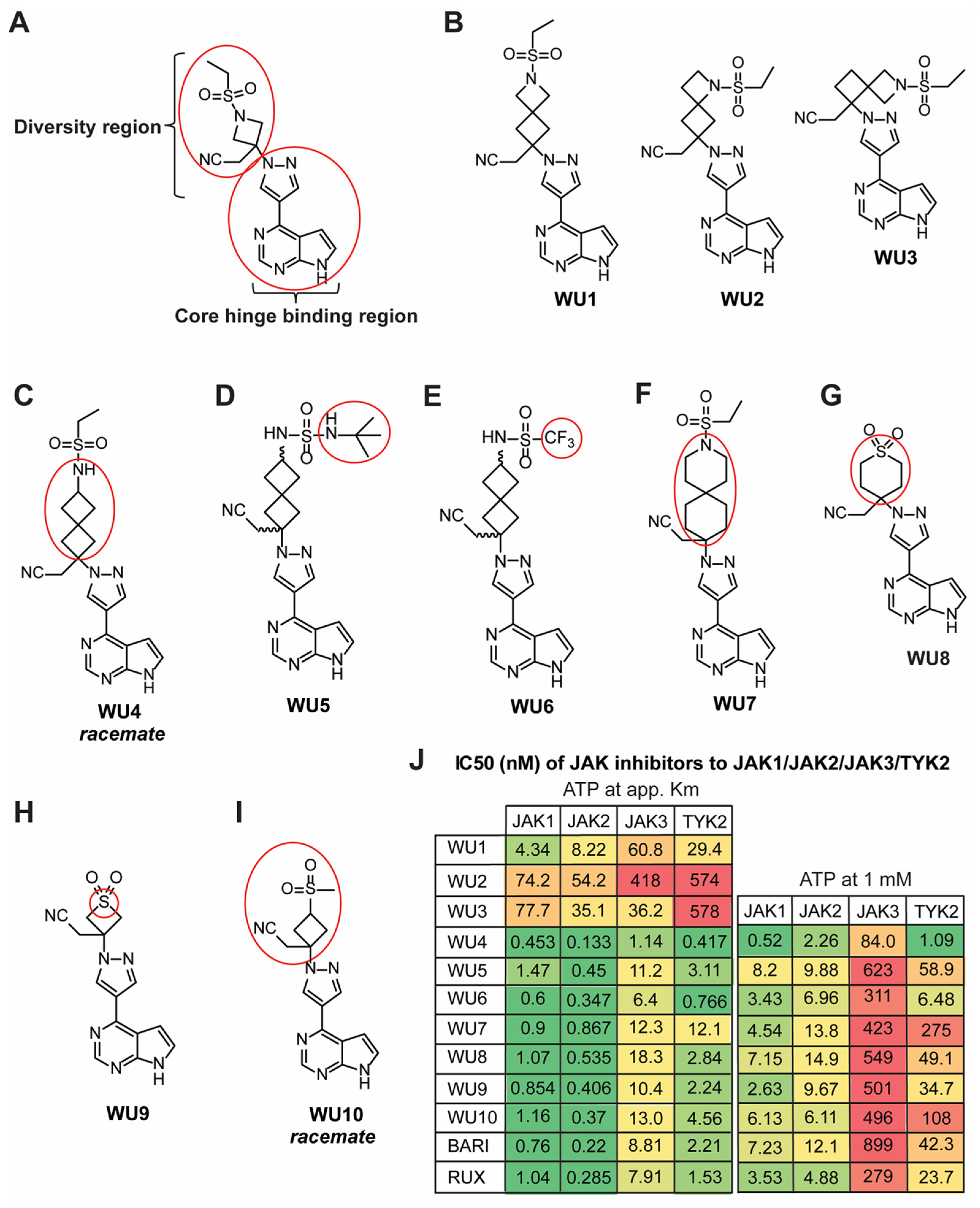 Molecules 29 01801 g001