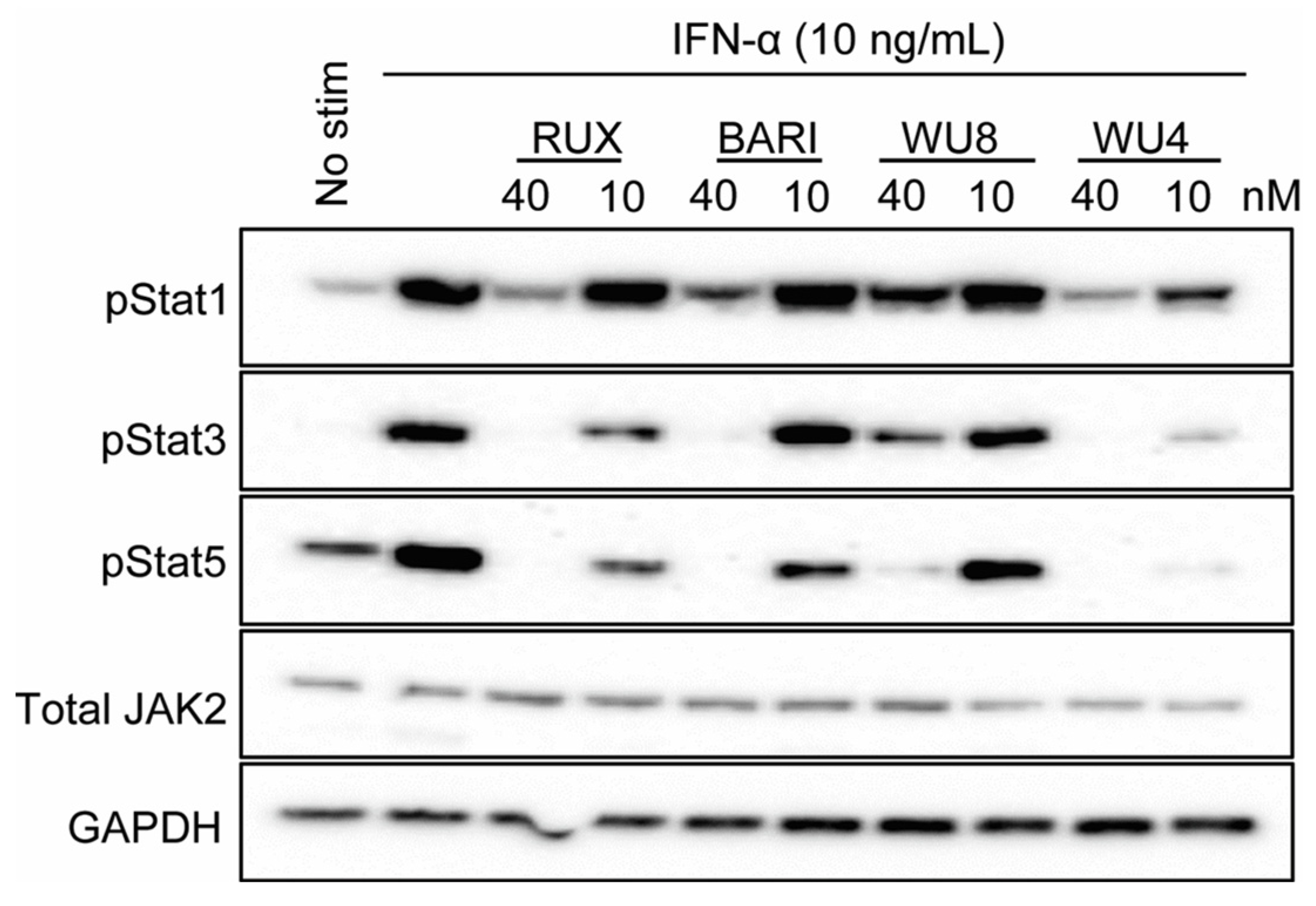 Molecules 29 01801 g004