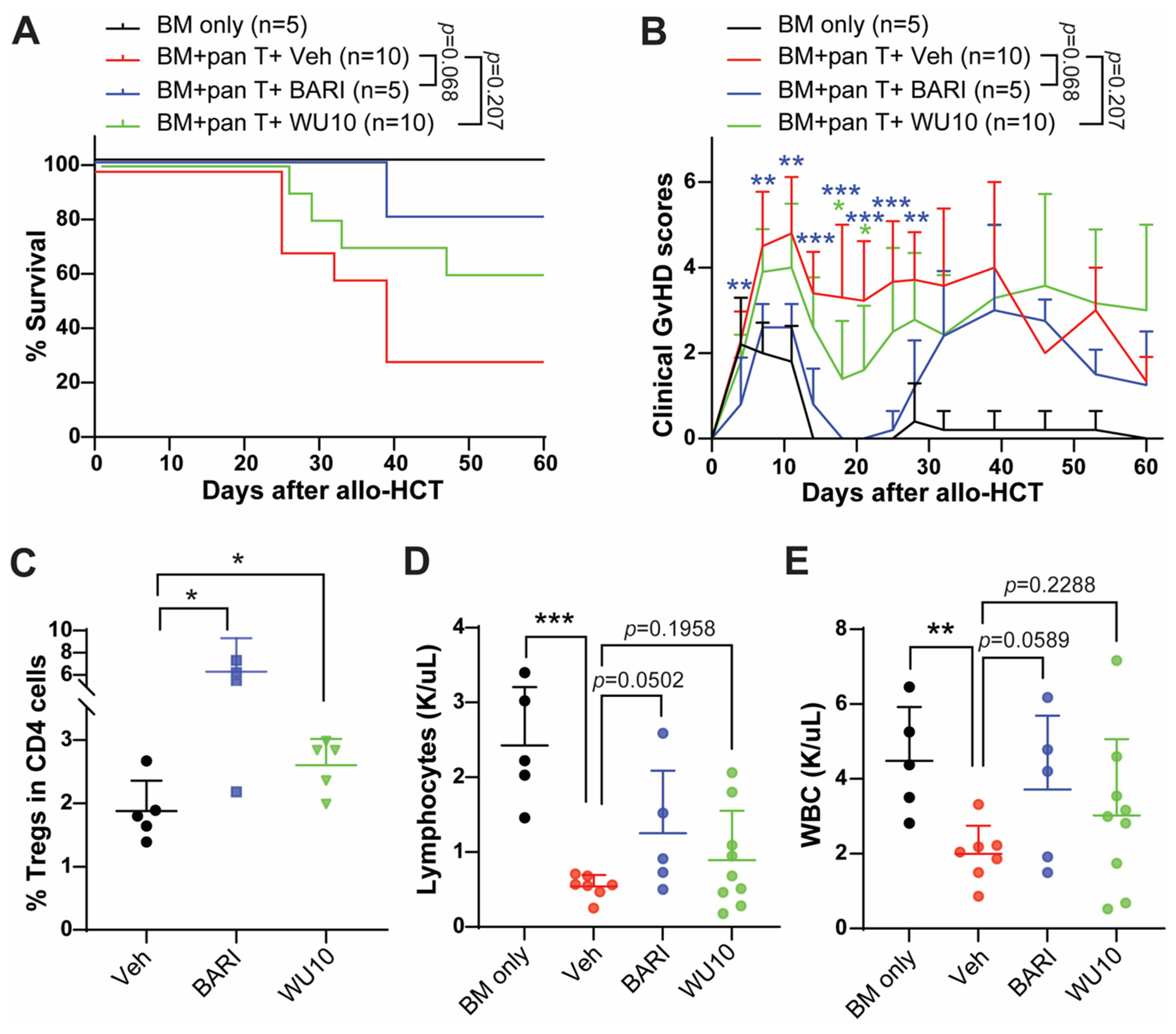 Molecules 29 01801 g006
