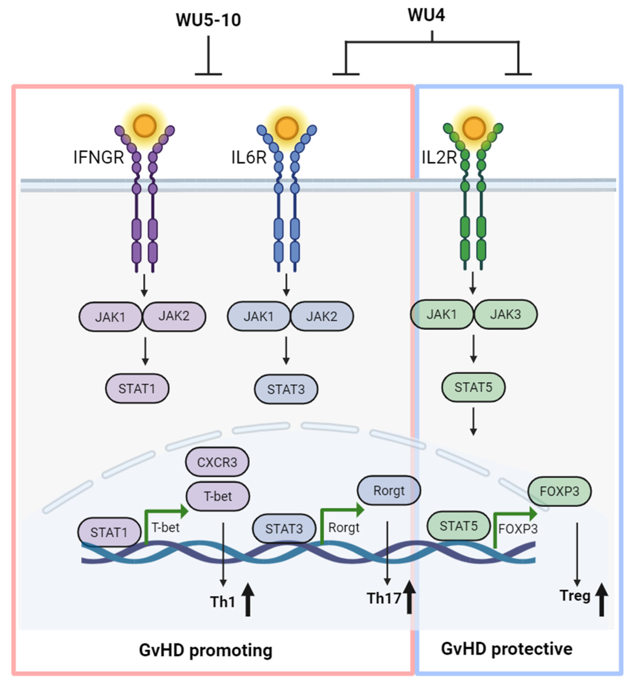 Molecules 29 01801 g009
