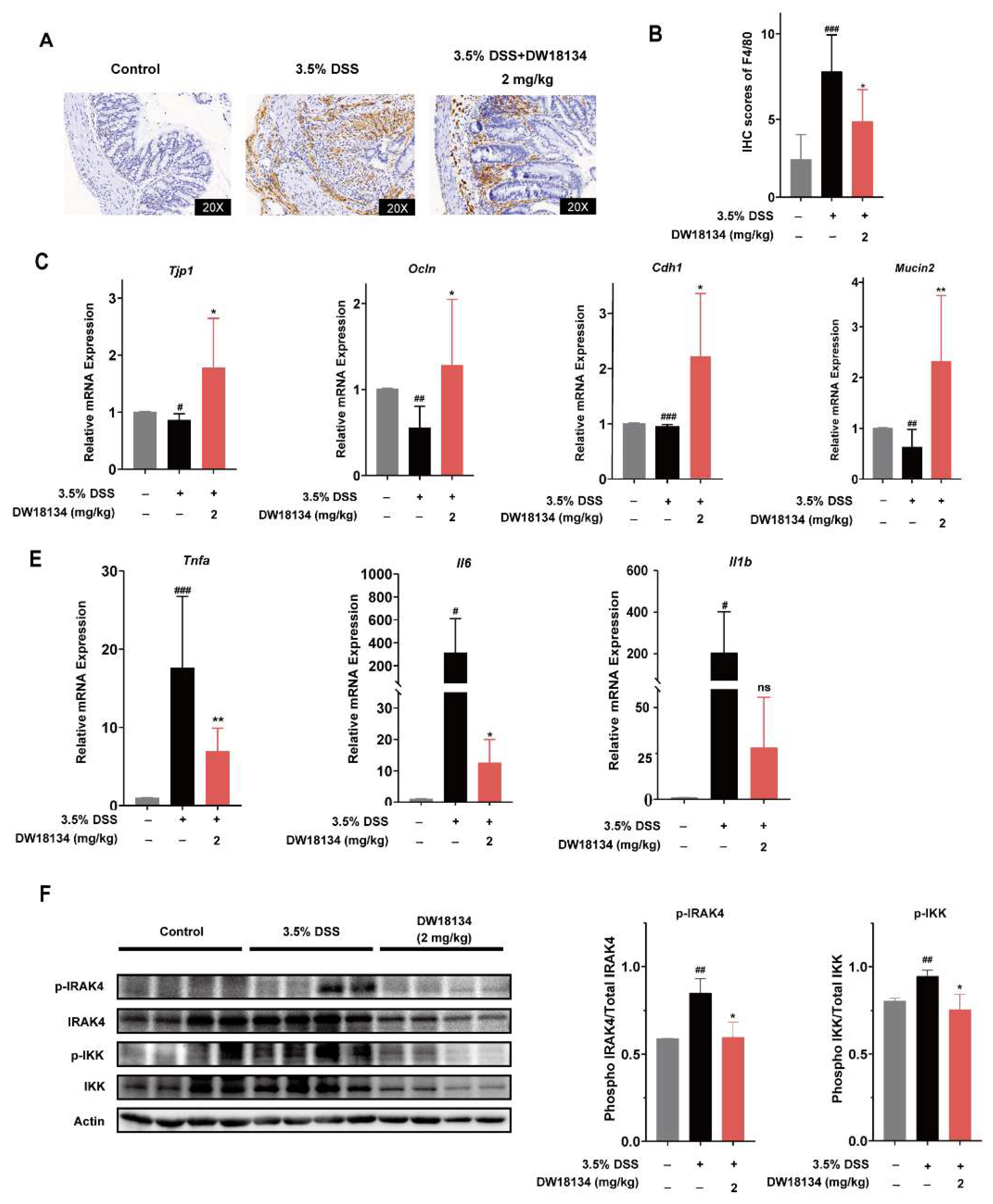 Molecules 29 01803 g005