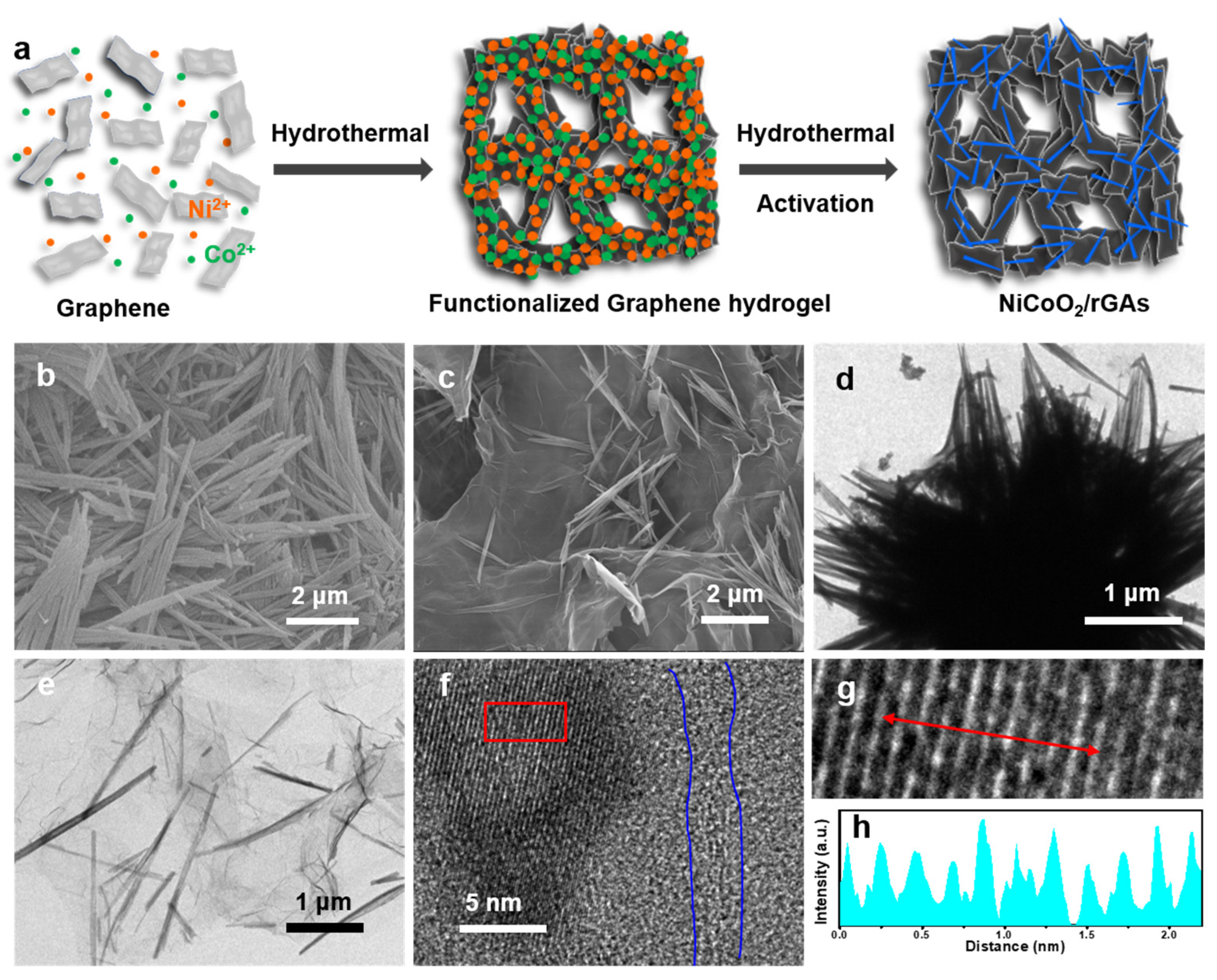 Molecules 29 01805 g001