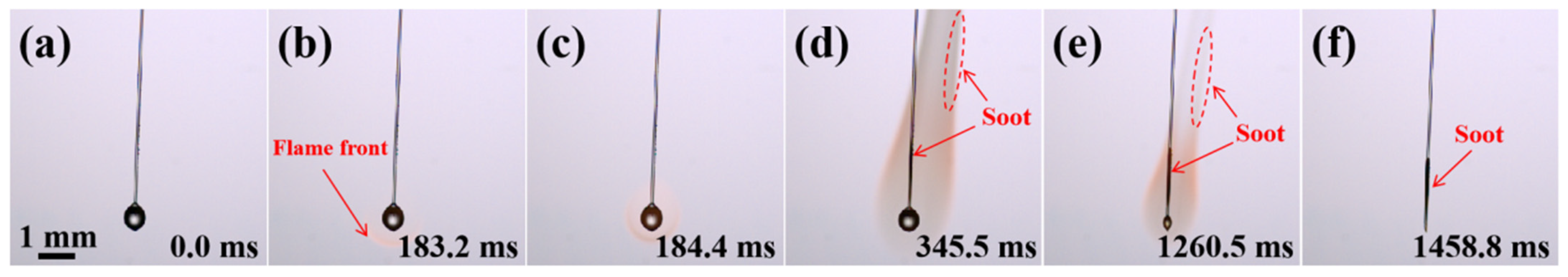 Molecules 29 01806 g001