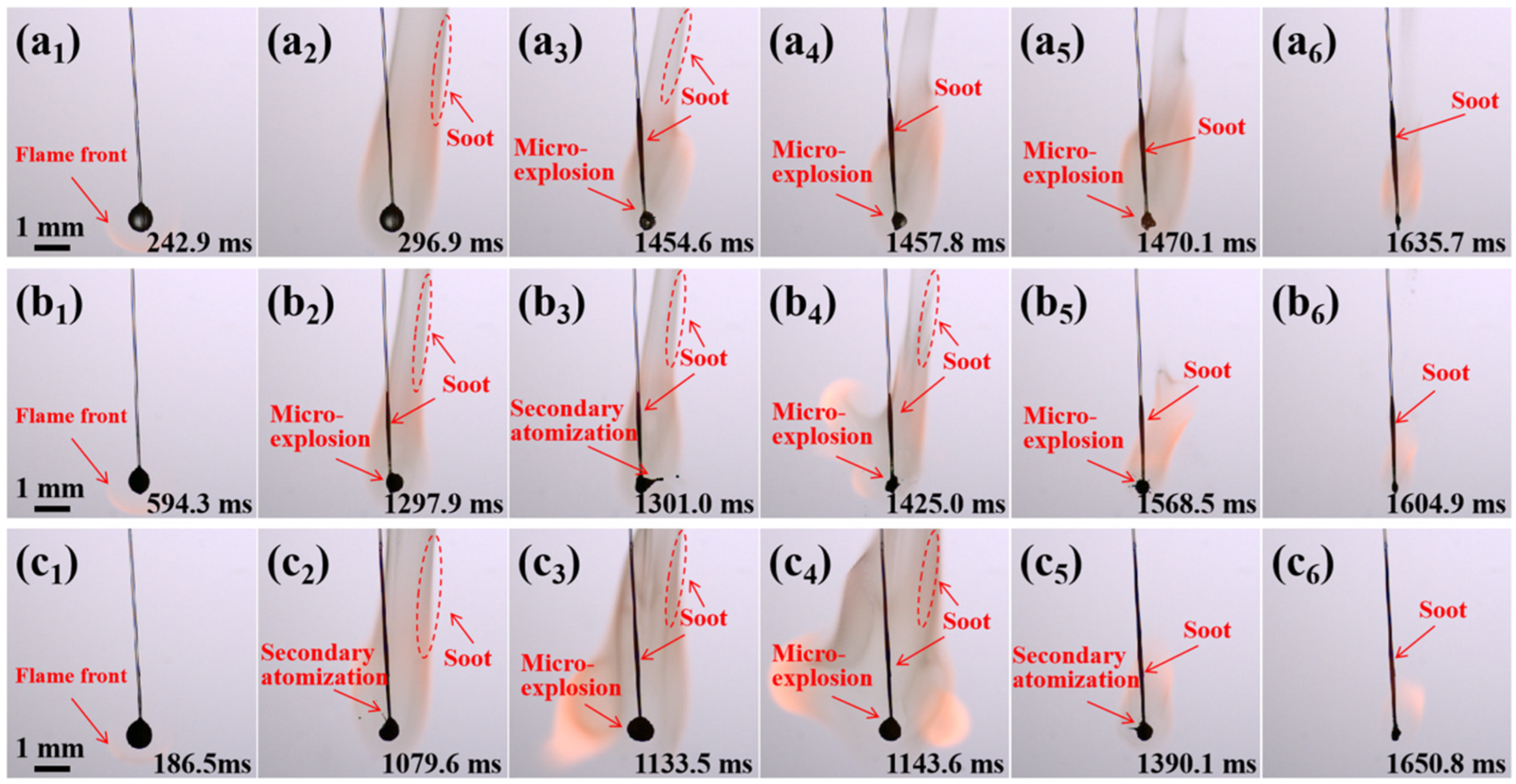 Molecules 29 01806 g004