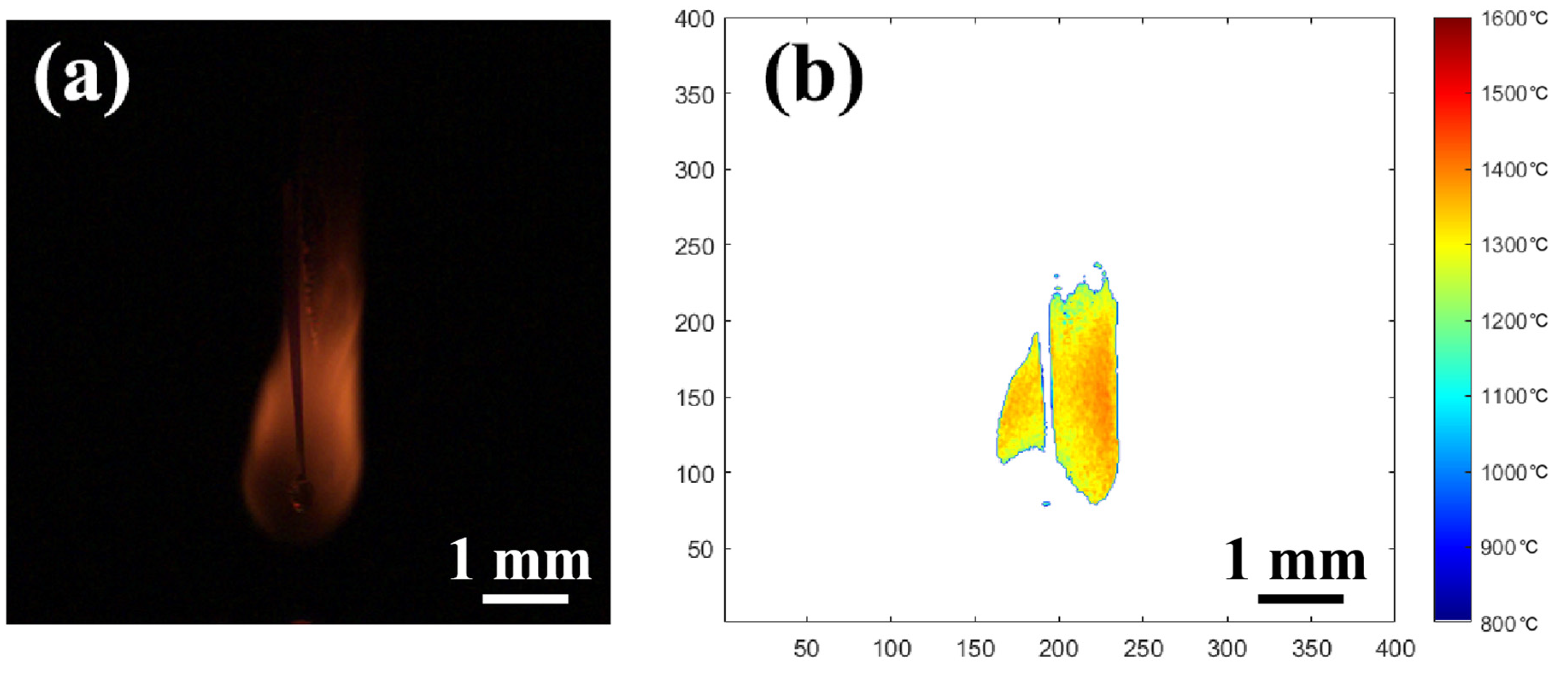 Molecules 29 01806 g013